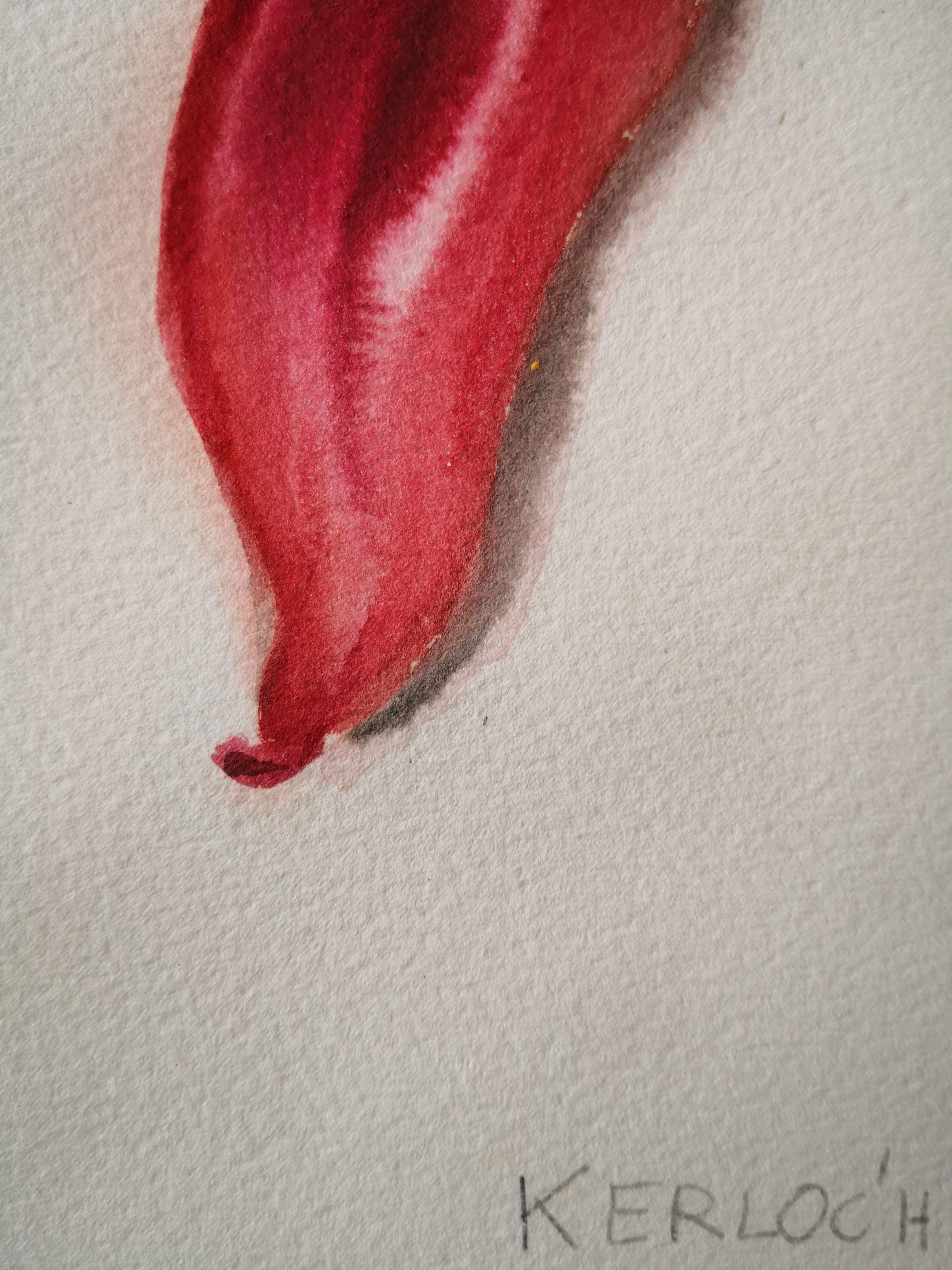 Green and Red Peppers, Painting, Watercolor on Paper For Sale 1