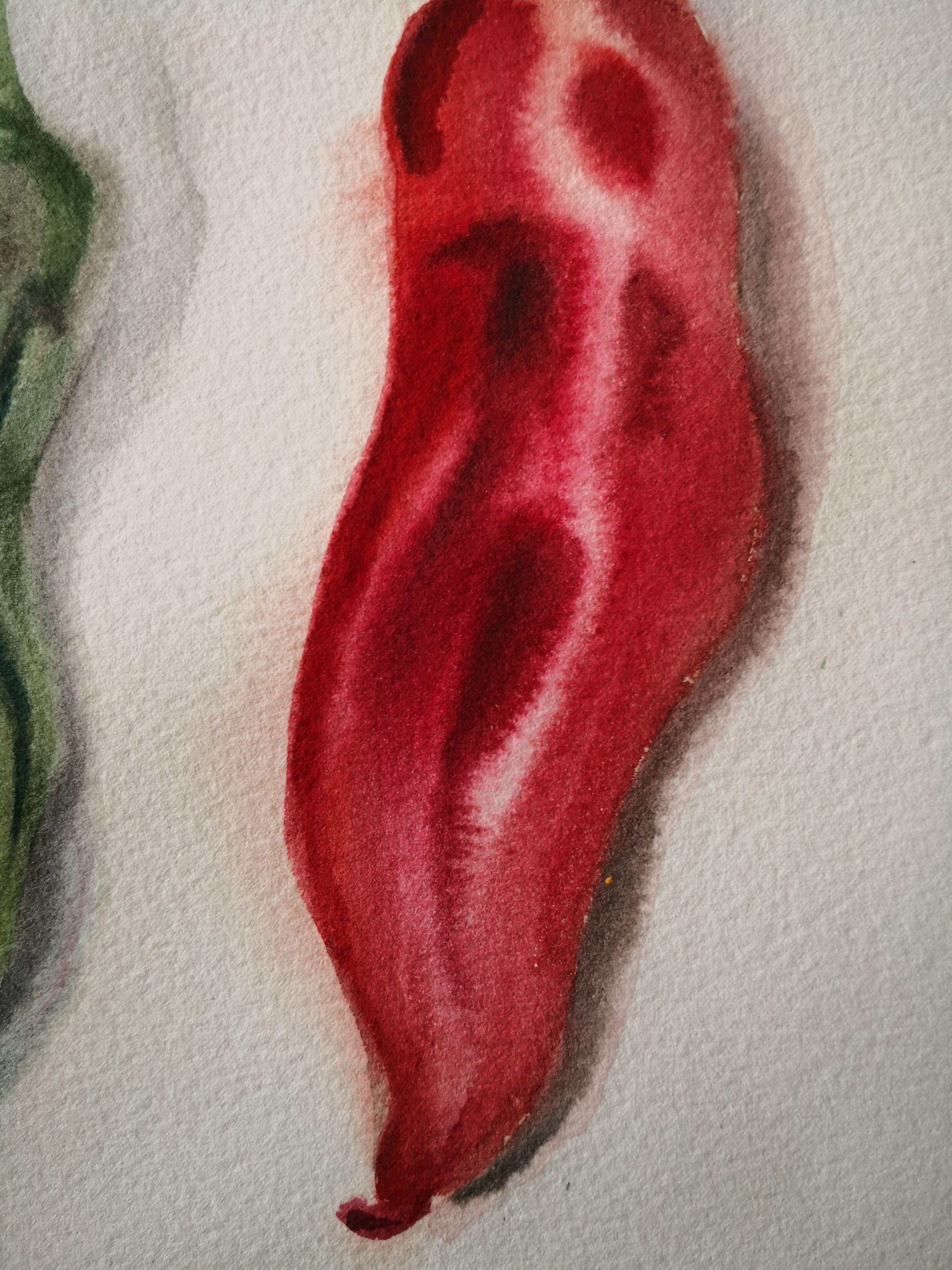 Green and Red Peppers, Painting, Watercolor on Paper For Sale 2