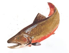 Vintage Brook Trout, Painting, Watercolor on Paper