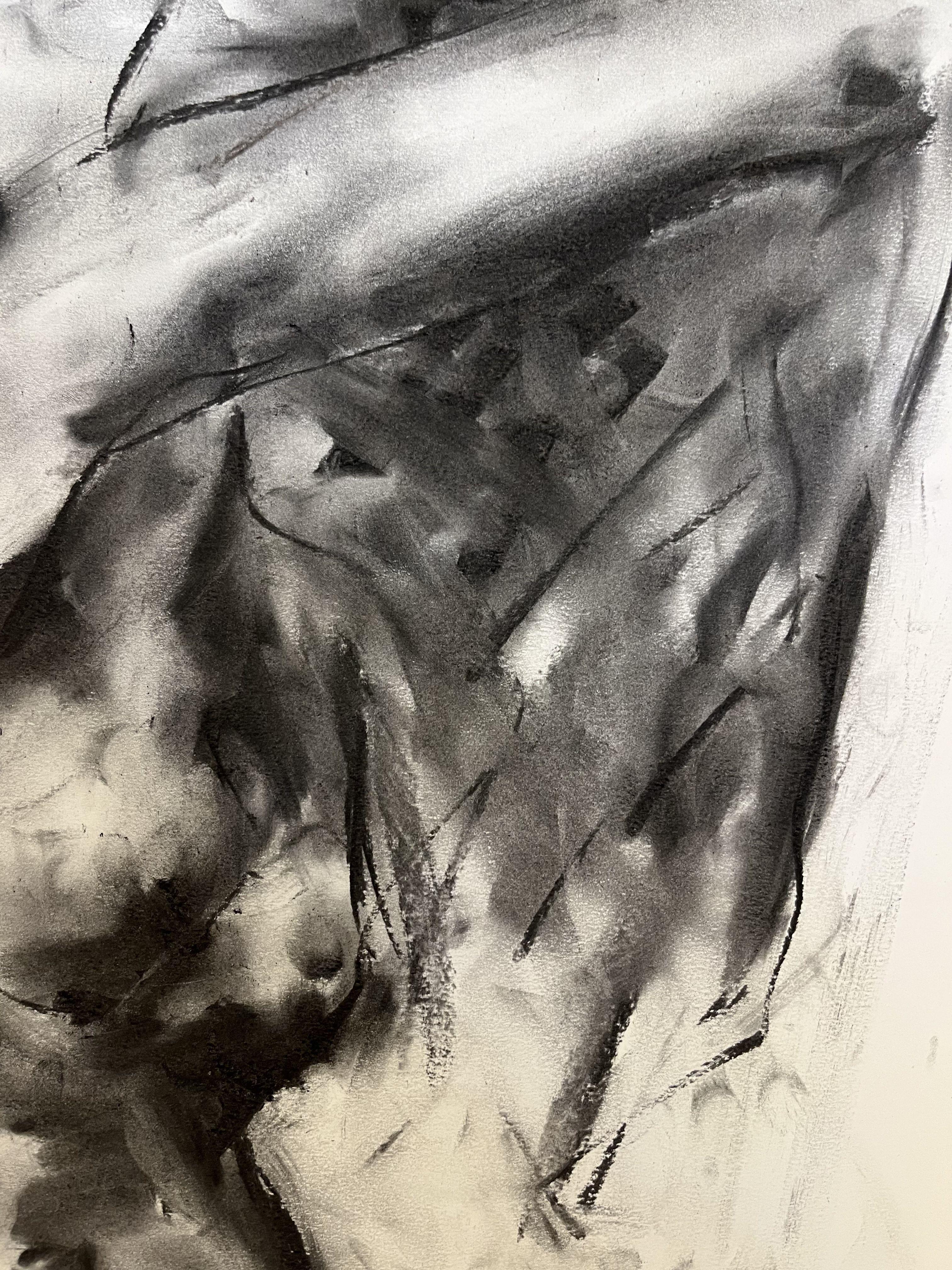 Wilderness, Drawing, Charcoal on Paper - Impressionist Art by James Shipton
