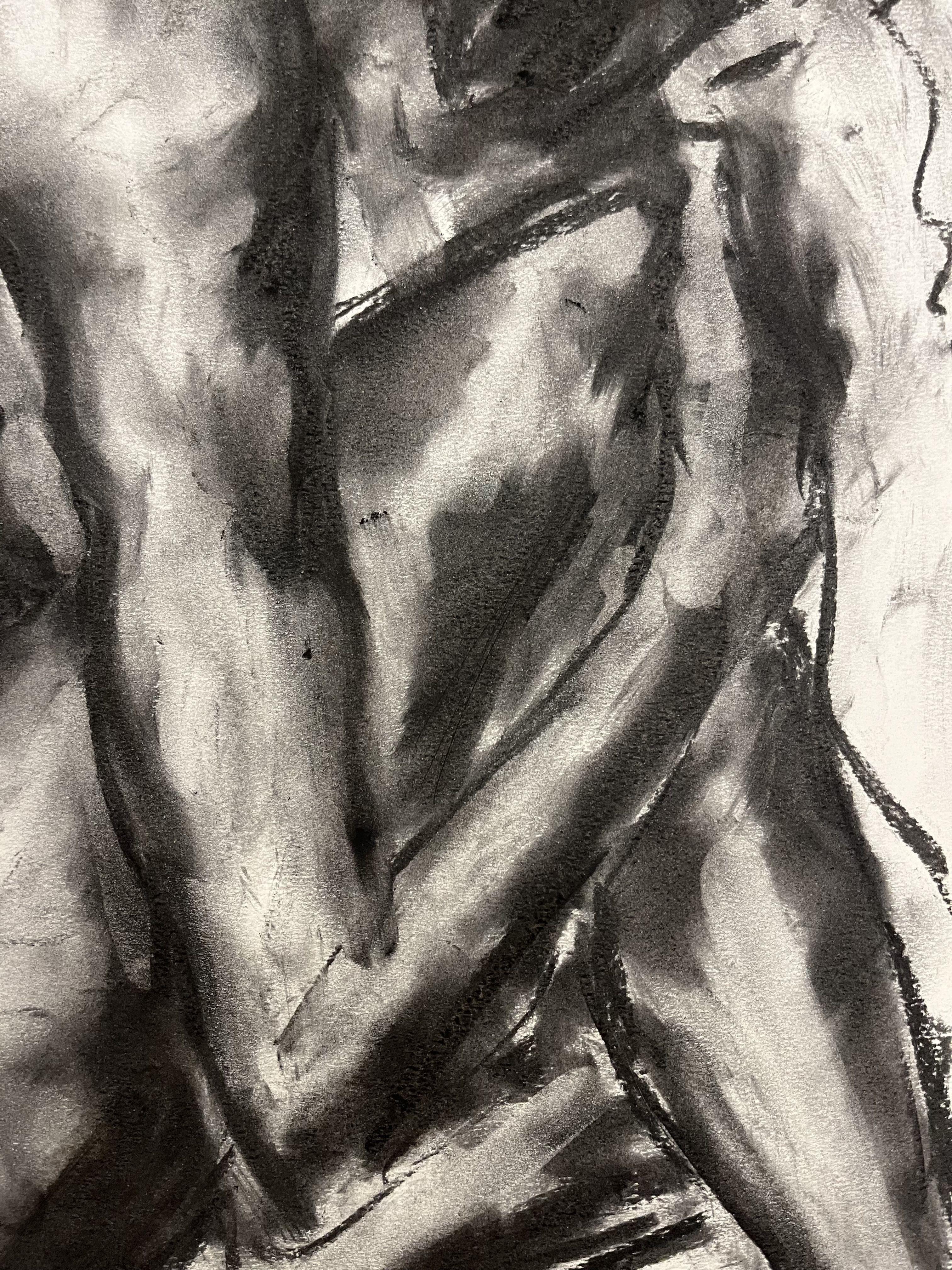 Disegno originale a carboncino su carta di James Shipton  I miei lavori sono fortemente influenzati dalle opere di Degas e Gustav Klimt.    Il mio desiderio è quello di catturare la bellezza della forma umana, ritraendo al contempo l'isolamento