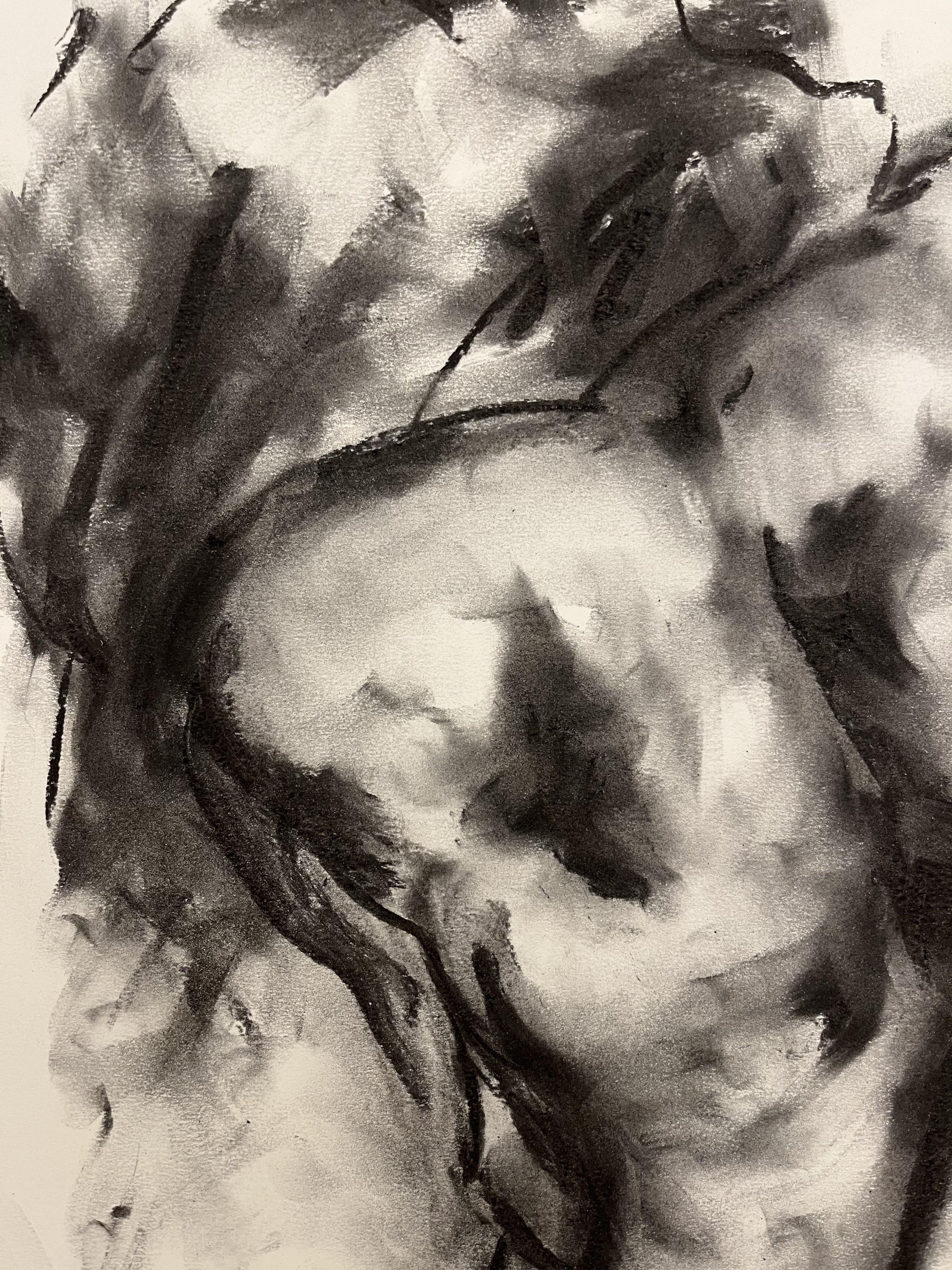 Soul, Drawing, Charcoal on Paper - Impressionist Art by James Shipton