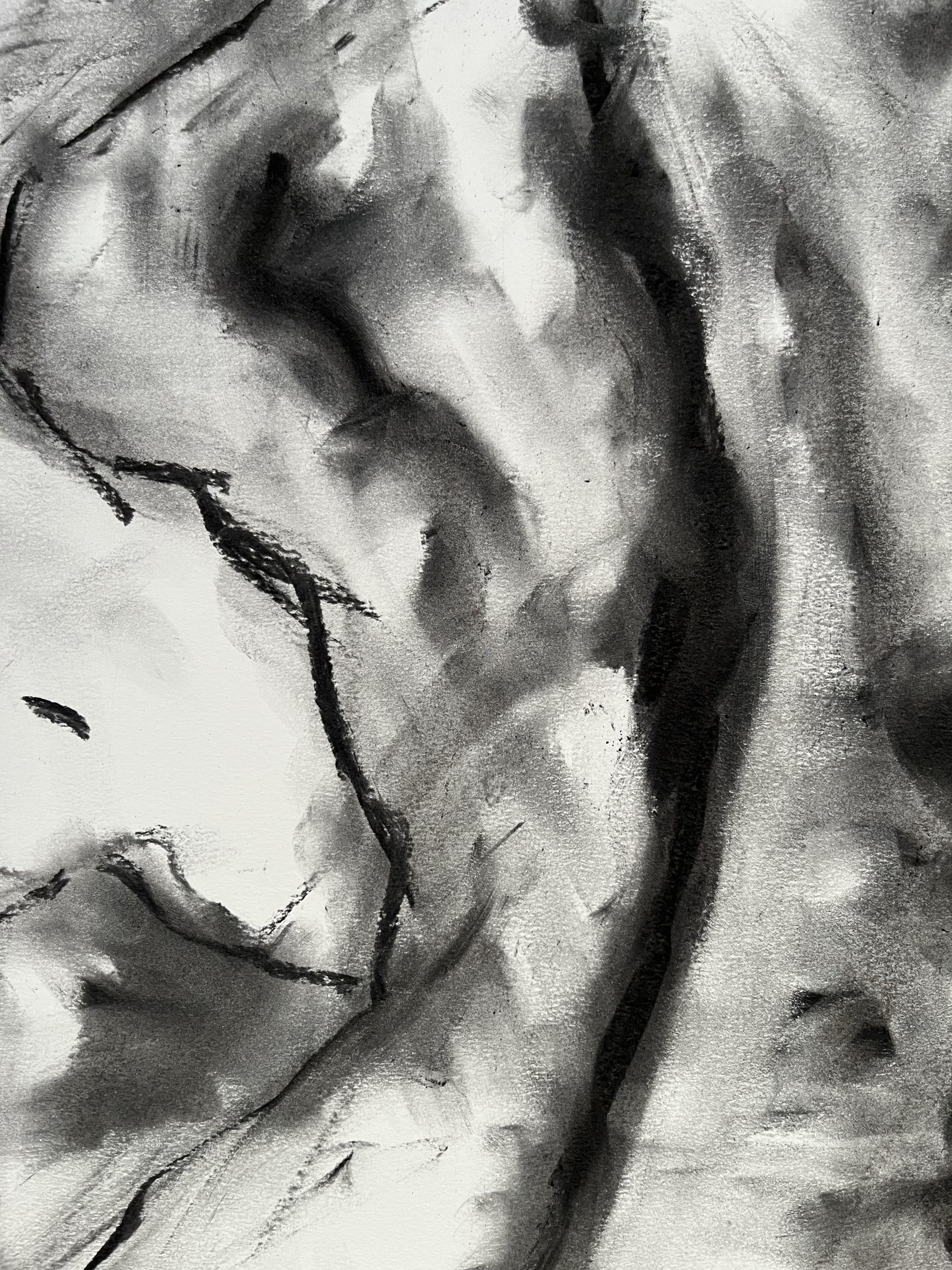 Uncovered, Drawing, Charcoal on Paper For Sale 1