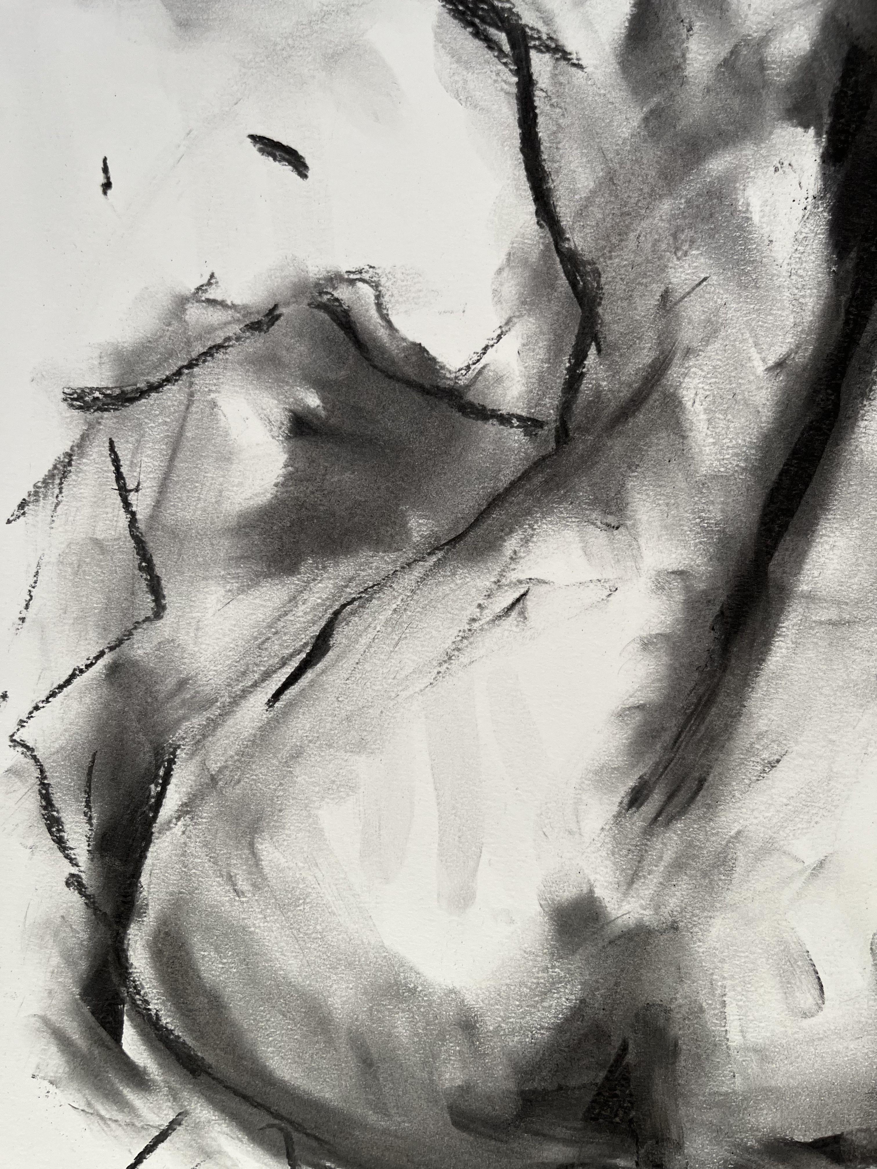 Uncovered, Drawing, Charcoal on Paper For Sale 2