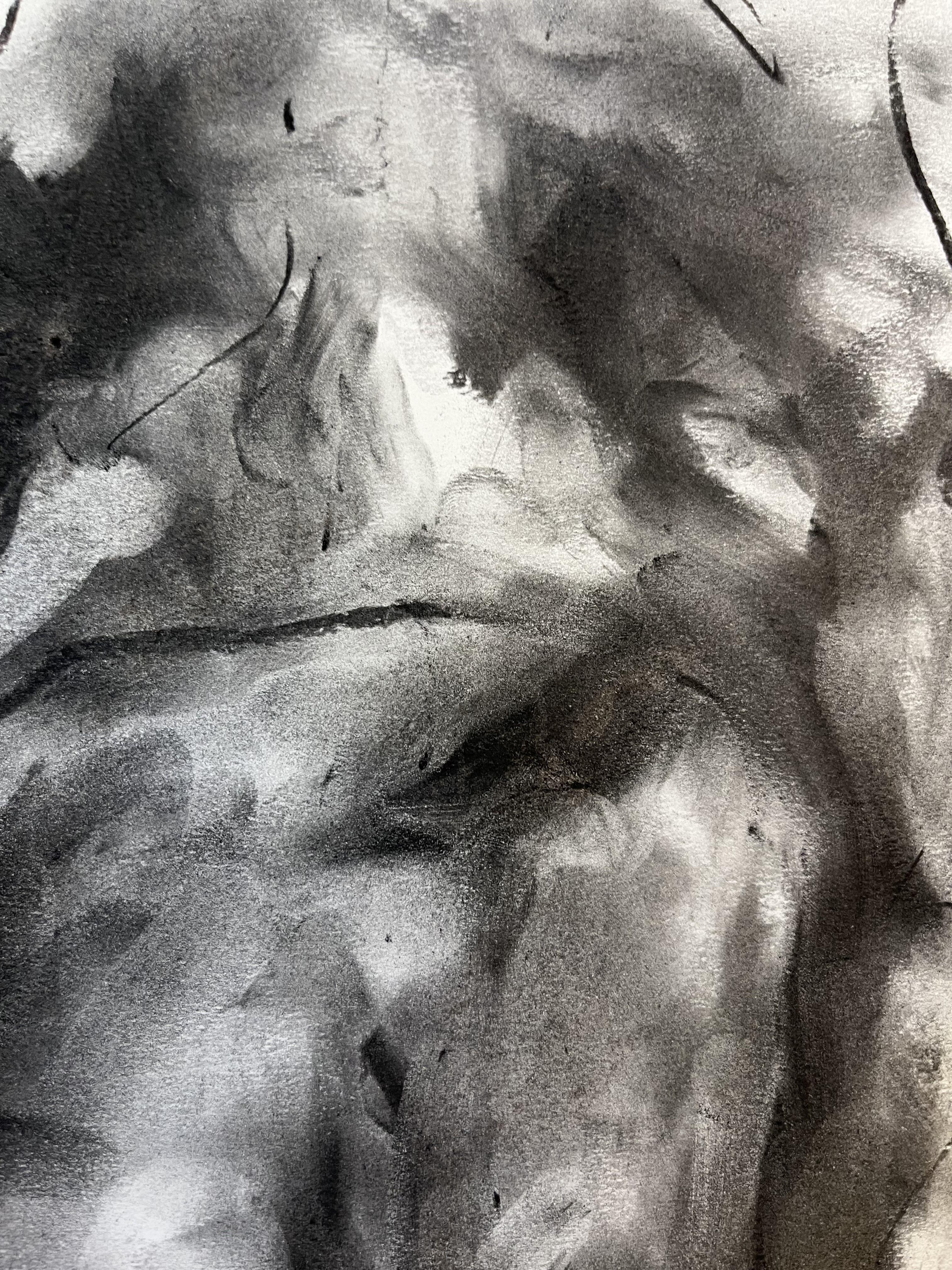Hold On, Drawing, Charcoal on Paper - Impressionist Art by James Shipton