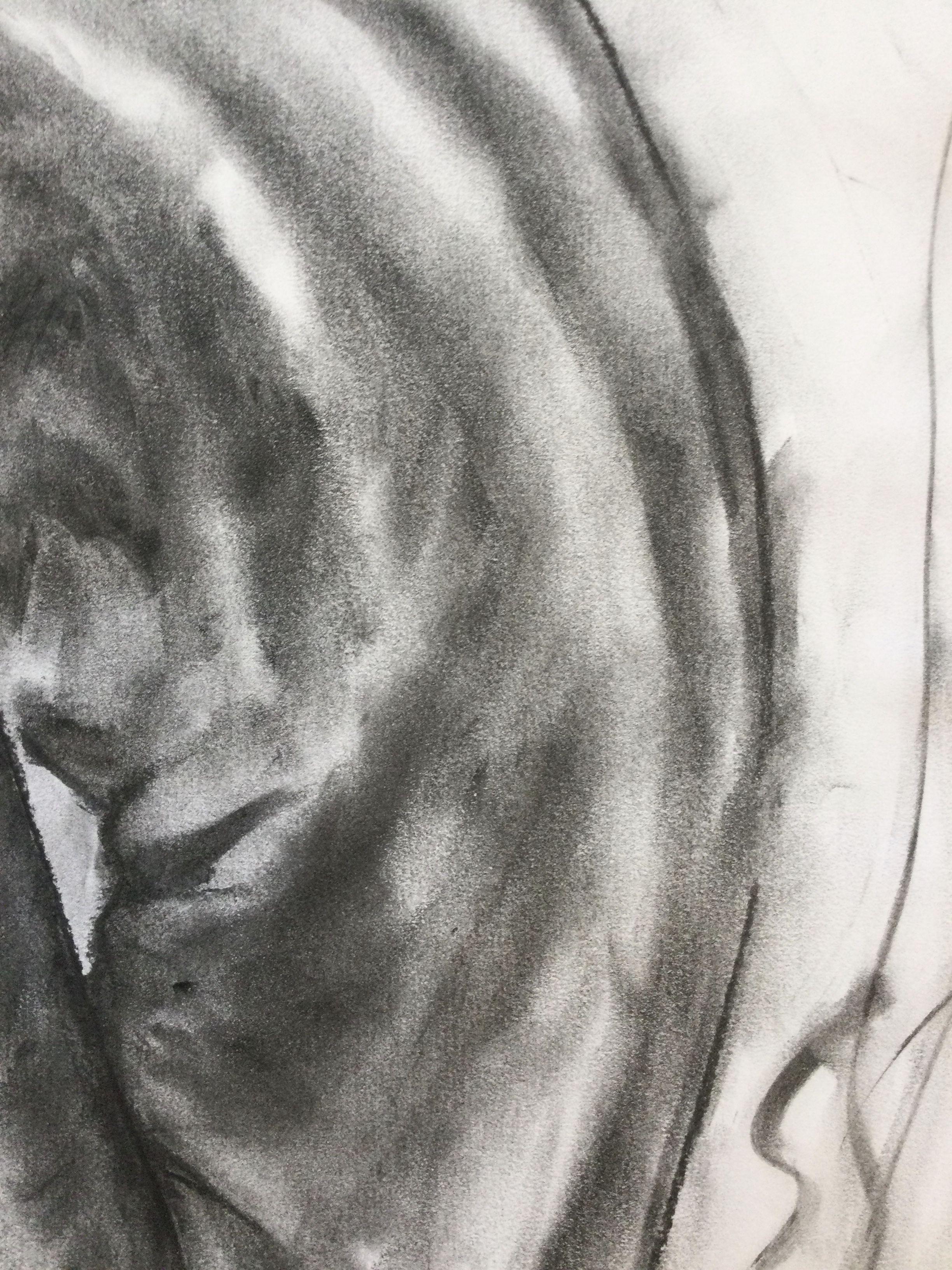 Lies, Drawing, Charcoal on Paper For Sale 1