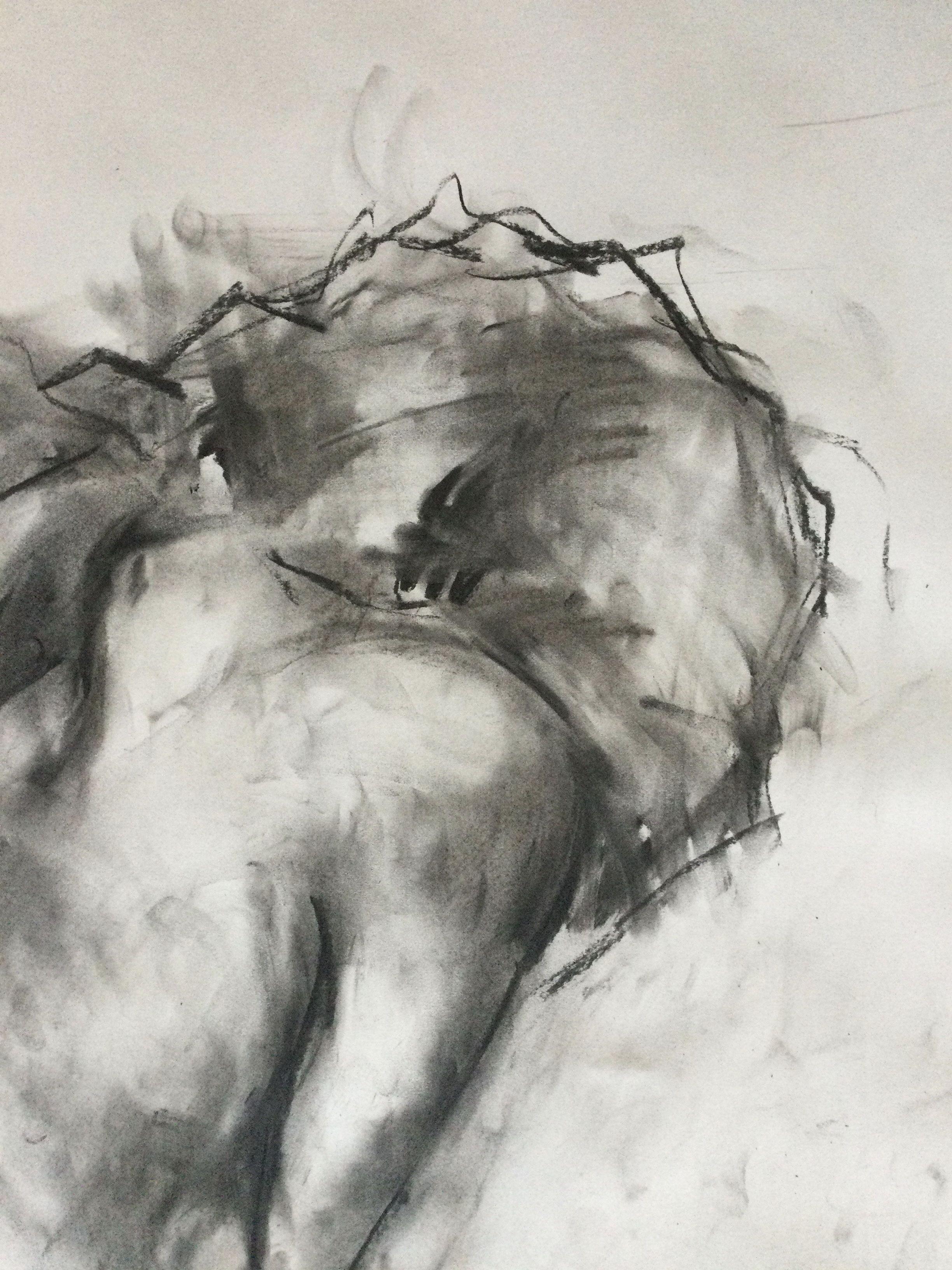 Sleep, Zeichnung, Kohle auf Papier (Impressionismus), Art, von James Shipton