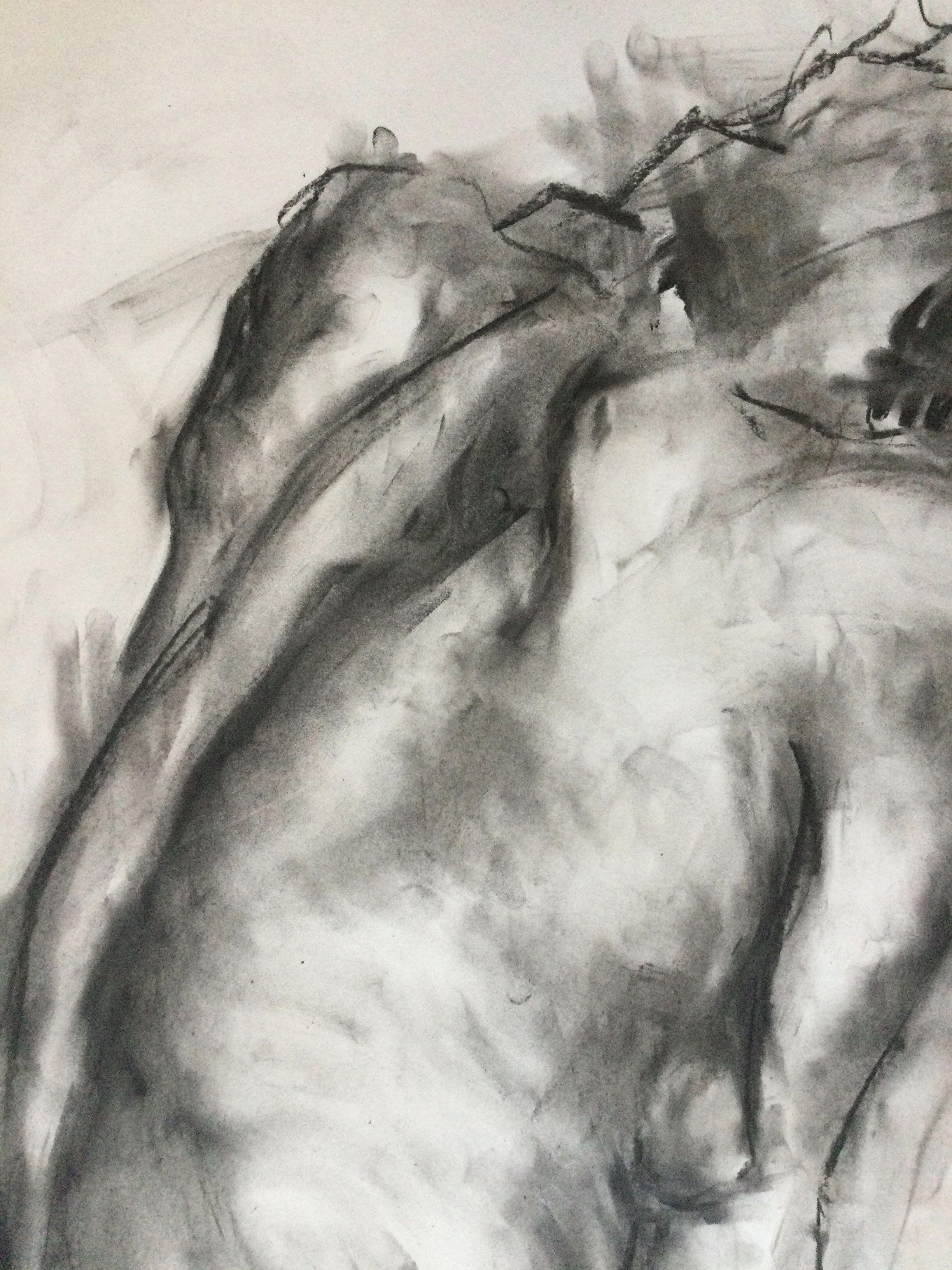 Original charcoal drawing on paper by James Shipton  My works are heavily influenced by the art work of Degas and Gustav Klimt.    My desire is to capture the beauty of the female human form, whilst portraying human isolation. I achieve this through