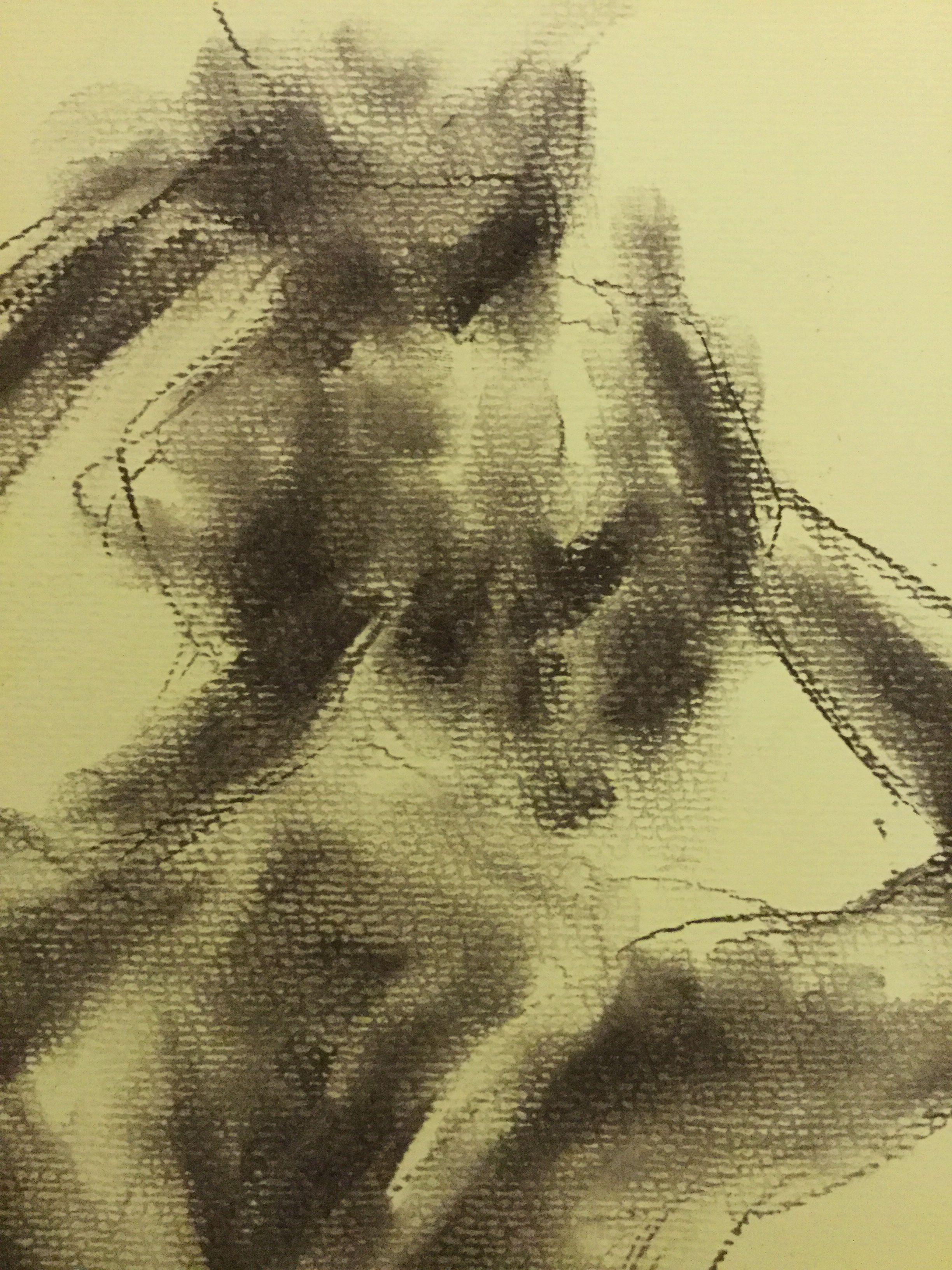 Vanesco, Drawing, Charcoal on Paper - Impressionist Art by James Shipton