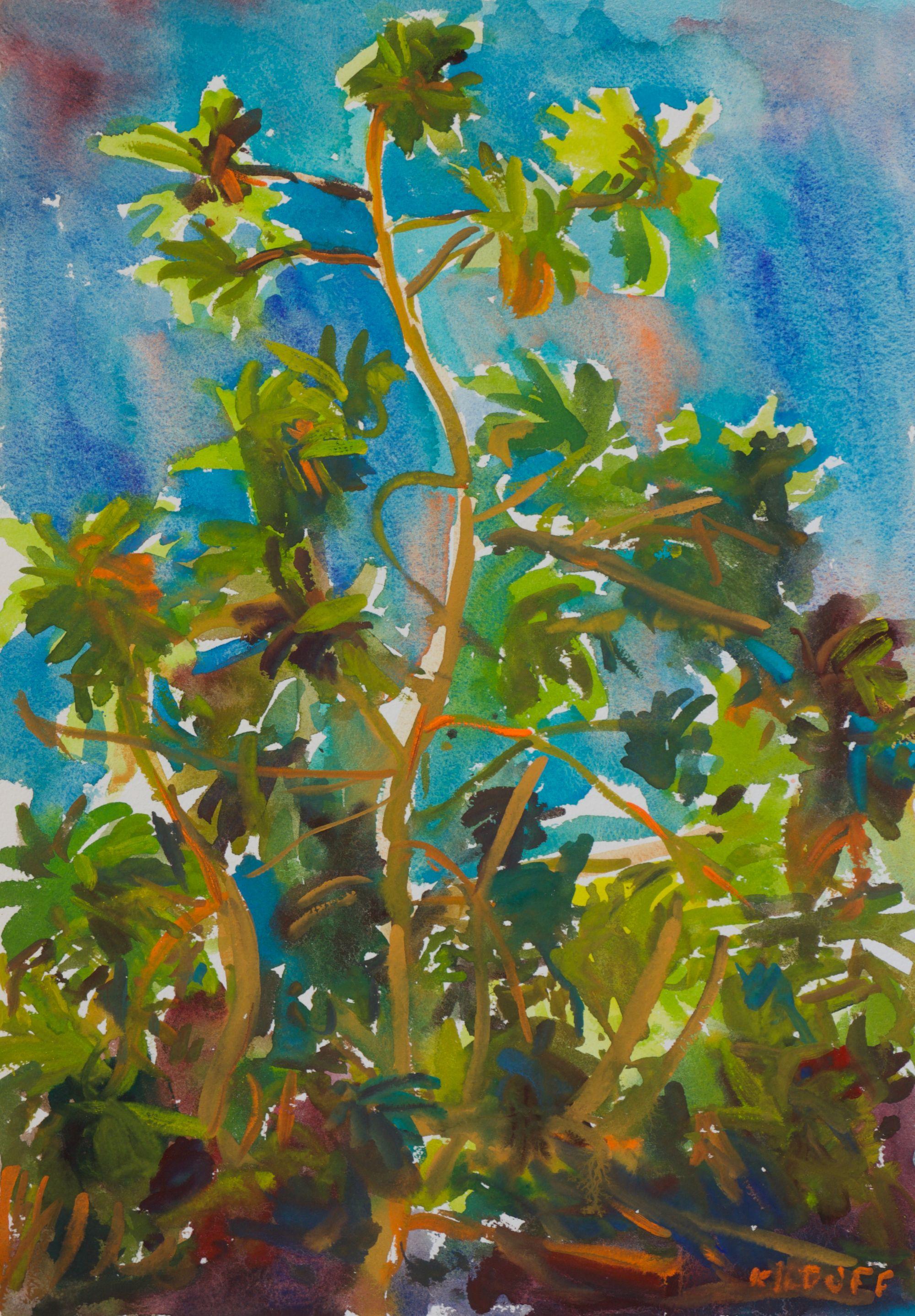 Panapenbaum, Gemälde, Aquarell auf Papier – Art von John Kilduff