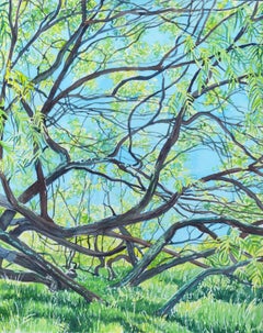 Antiker Mesquite-Baum, Gemälde, Aquarell auf Aquarellpapier