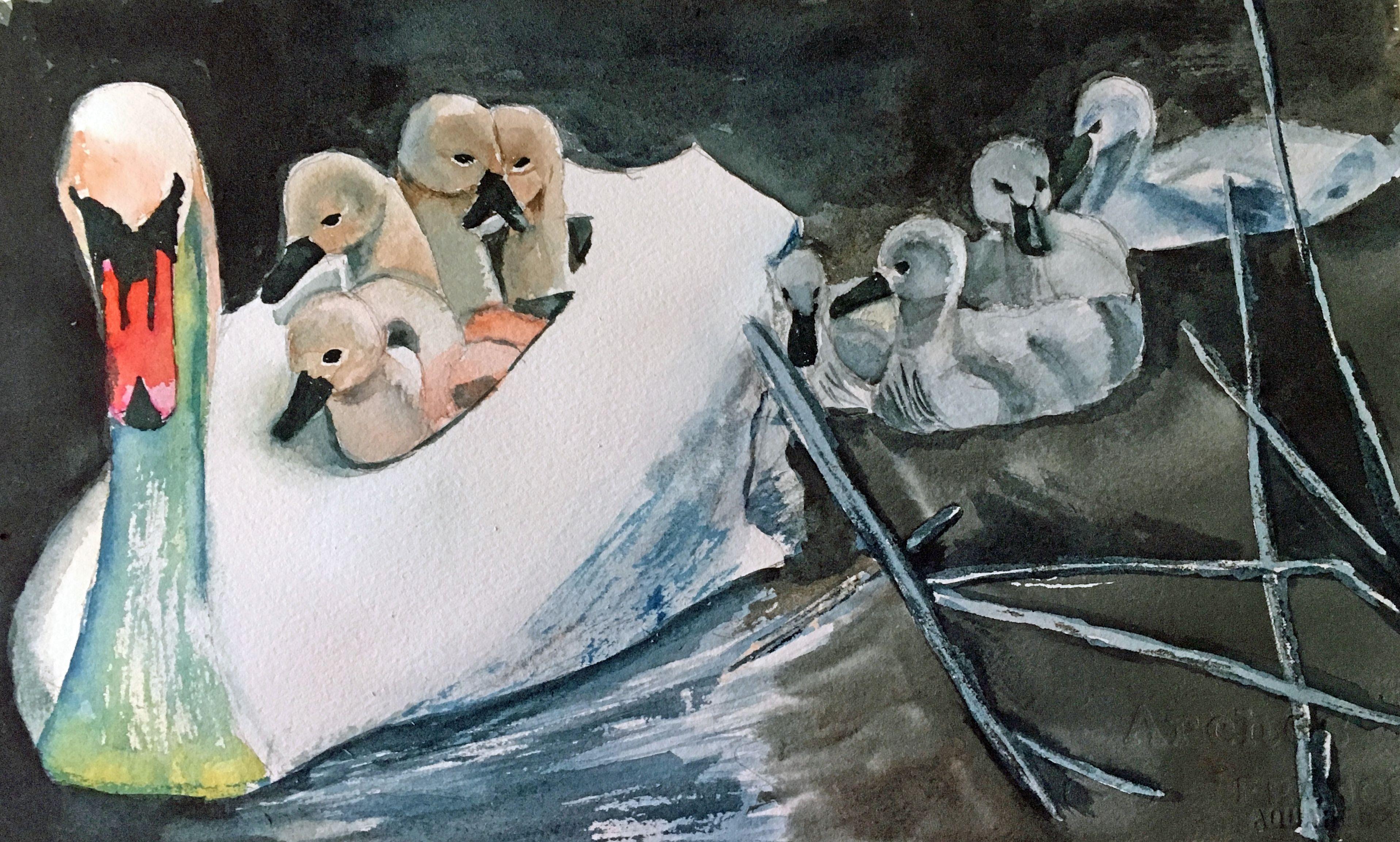Swan and Cygnets, Painting, Watercolor on Watercolor Paper - Art by Lynne Atwood