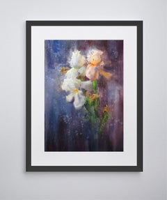 "Irises", Painting, Watercolor on Watercolor Paper