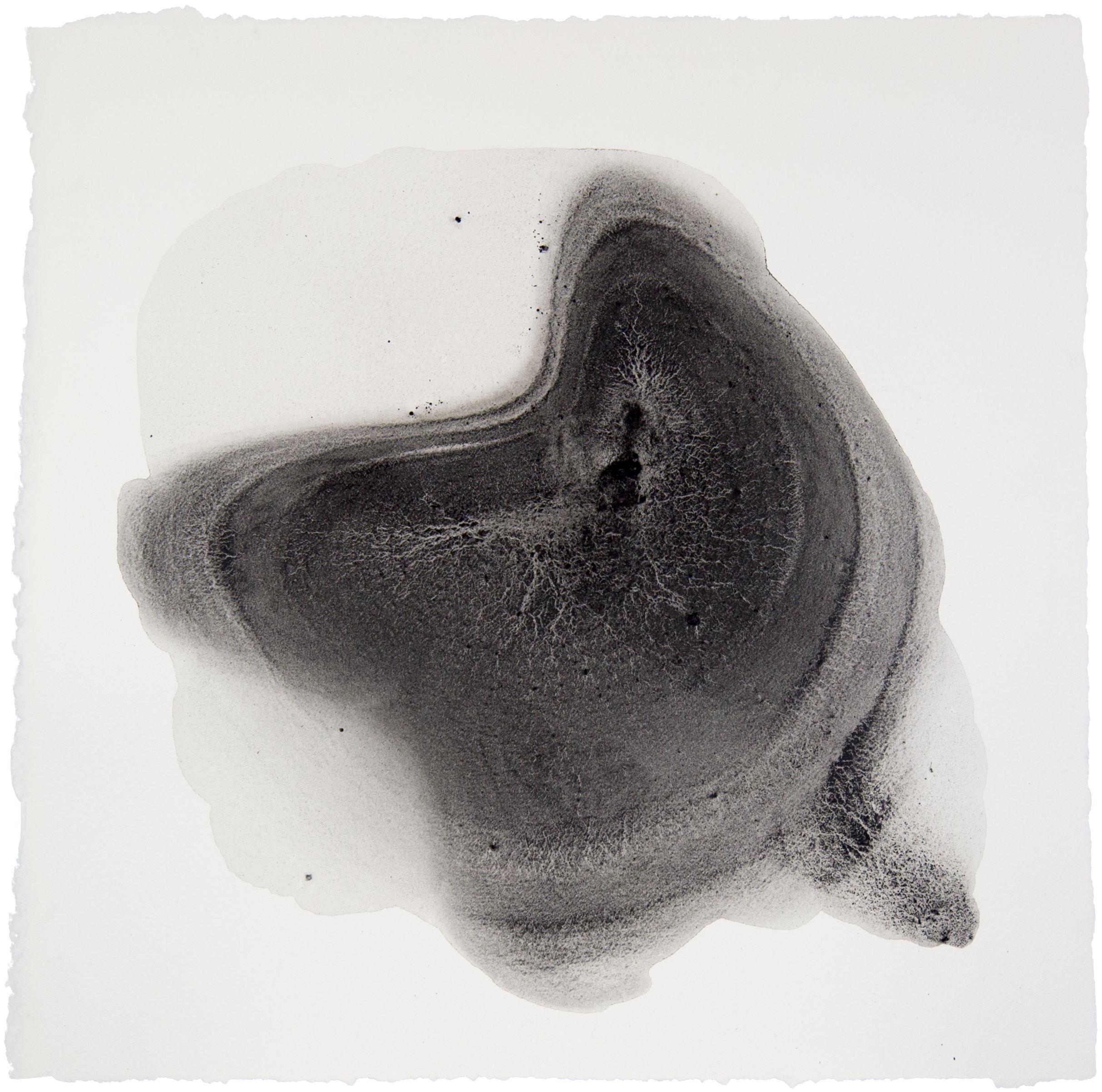 Sediment #9, Drawing, Pencil/Colored Pencil on Paper