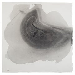 Sediment #6, Drawing, Pencil/Colored Pencil on Paper