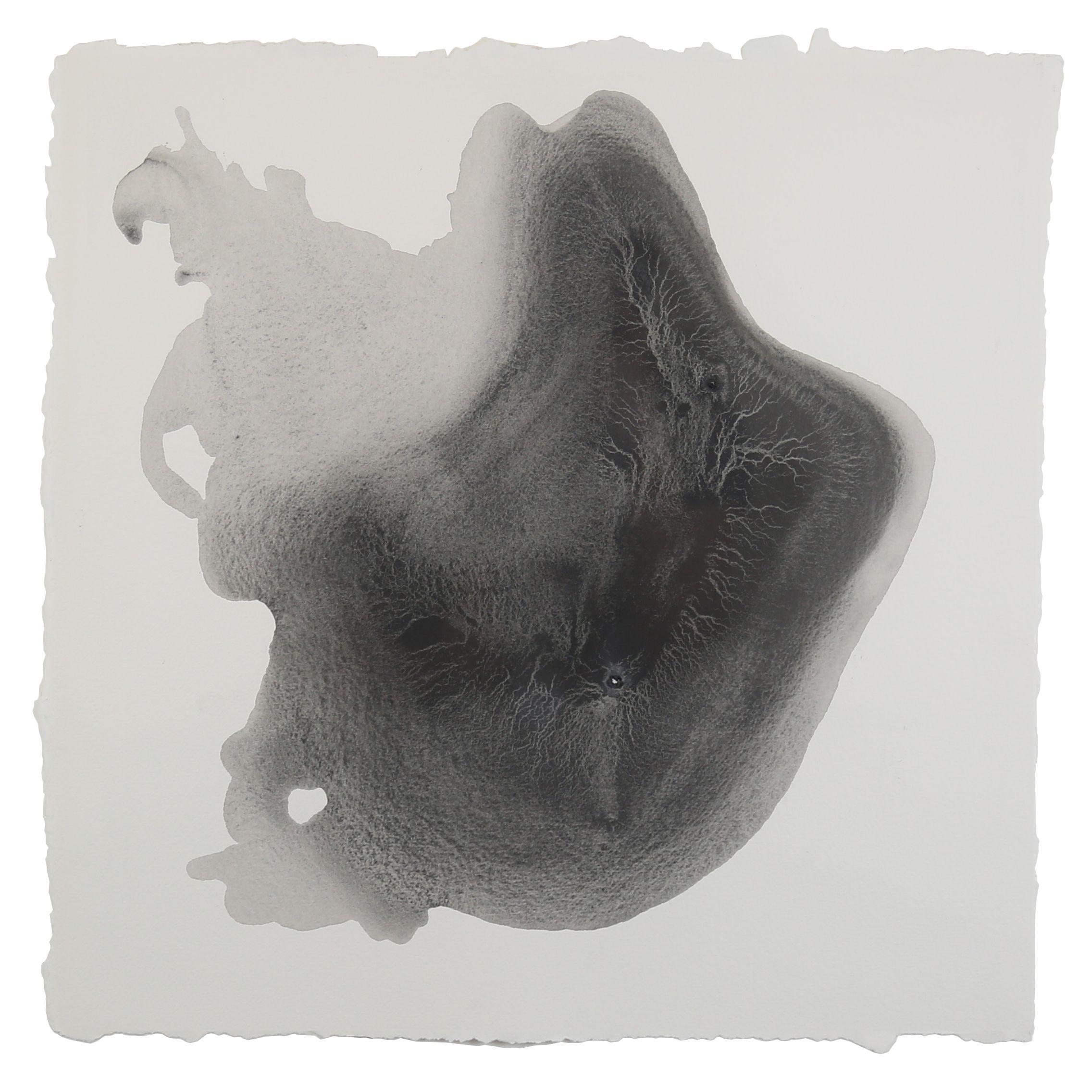 Sediment #5, Drawing, Pencil/Colored Pencil on Paper