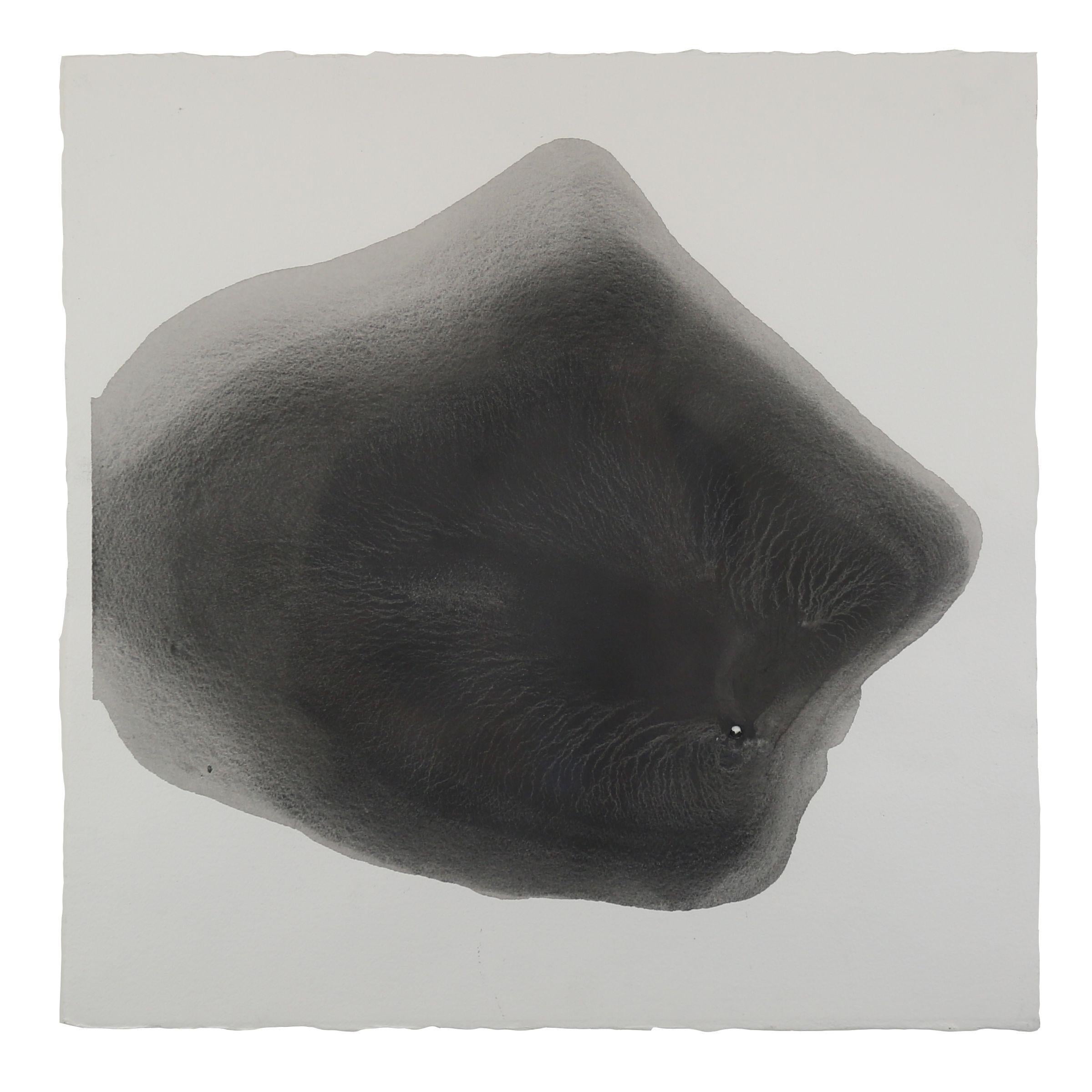 Sediment #4, Drawing, Pencil/Colored Pencil on Paper
