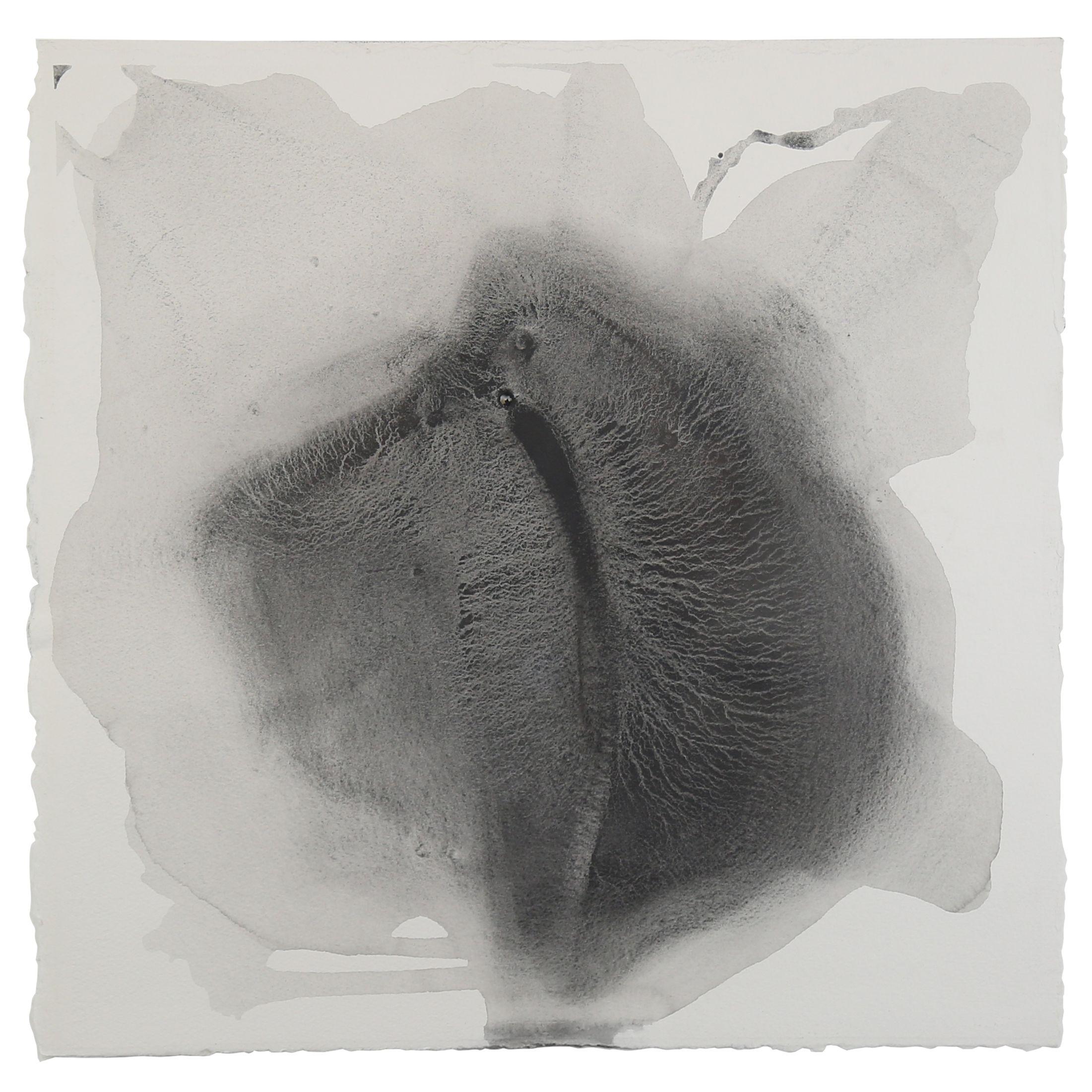 Sediment #3, Drawing, Pencil/Colored Pencil on Paper