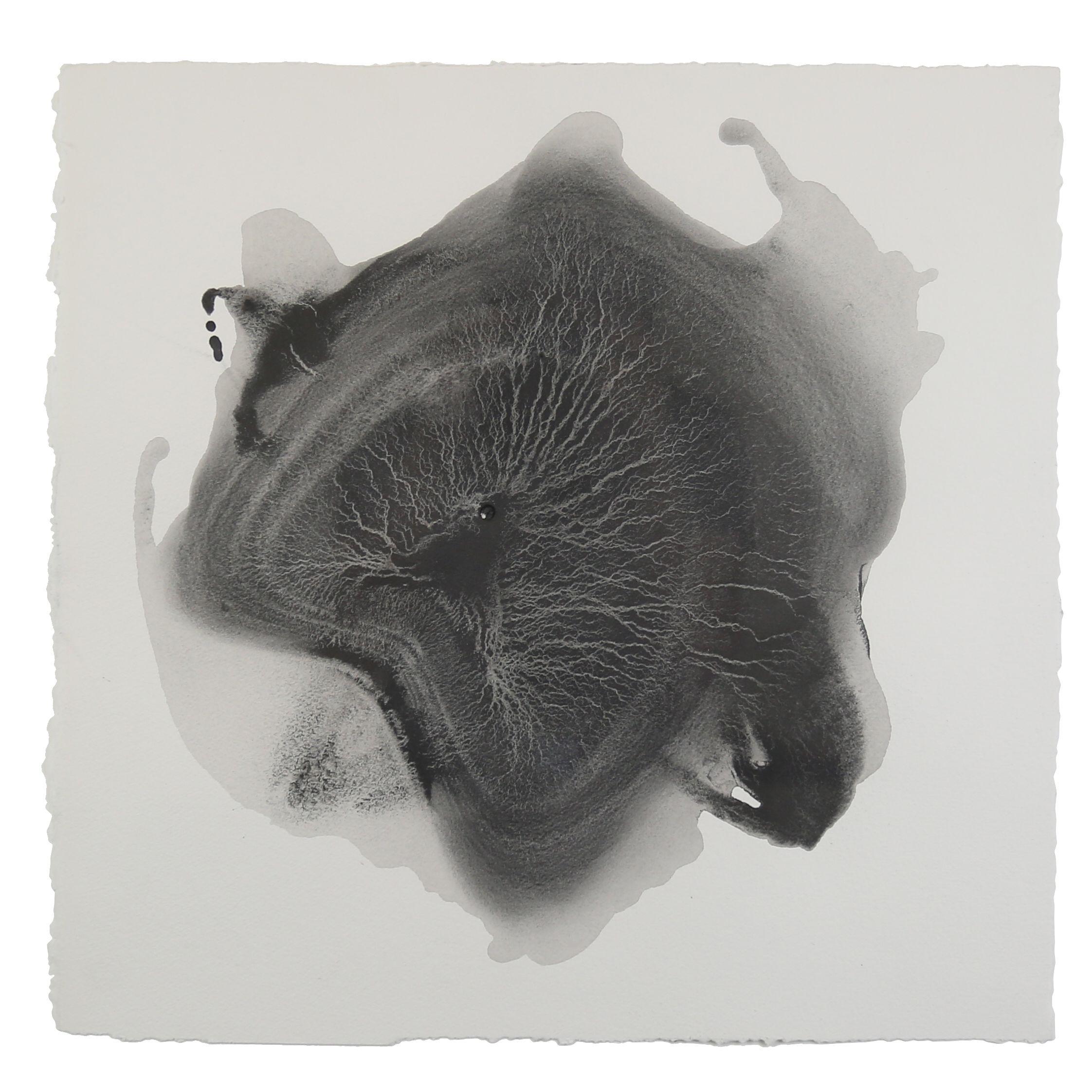 Sediment #2, Drawing, Pencil/Colored Pencil on Paper - Art by Simon Williams