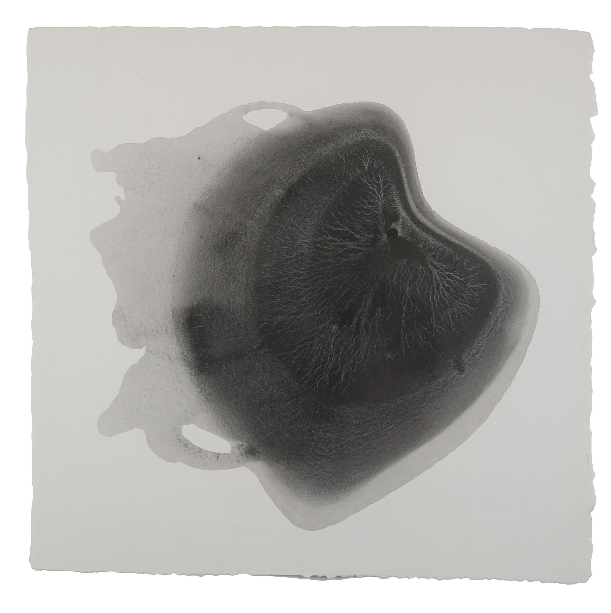 Sediment #1, Drawing, Pencil/Colored Pencil on Paper