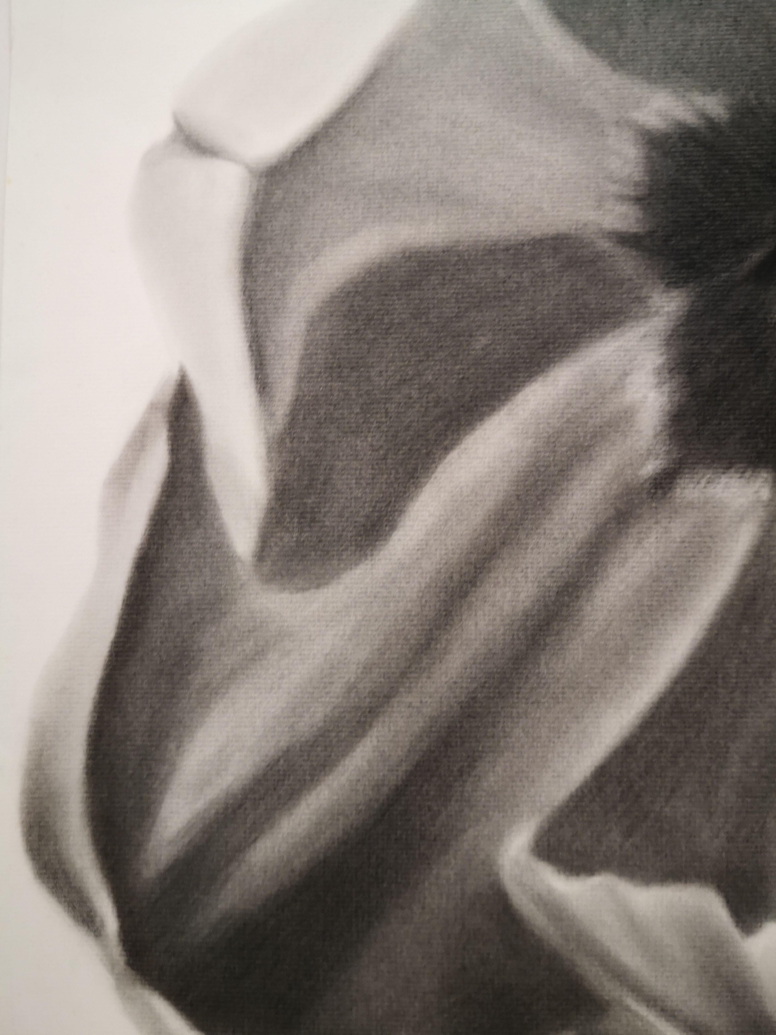 Tulip, Drawing, Charcoal on Paper For Sale 2
