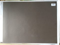 Lulu en el Espacio - 11-07-24, Dibujo, Pasteles sobre Papel