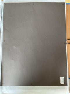 Parigi 24 - 04-07-24, Disegno, Pastelli su carta