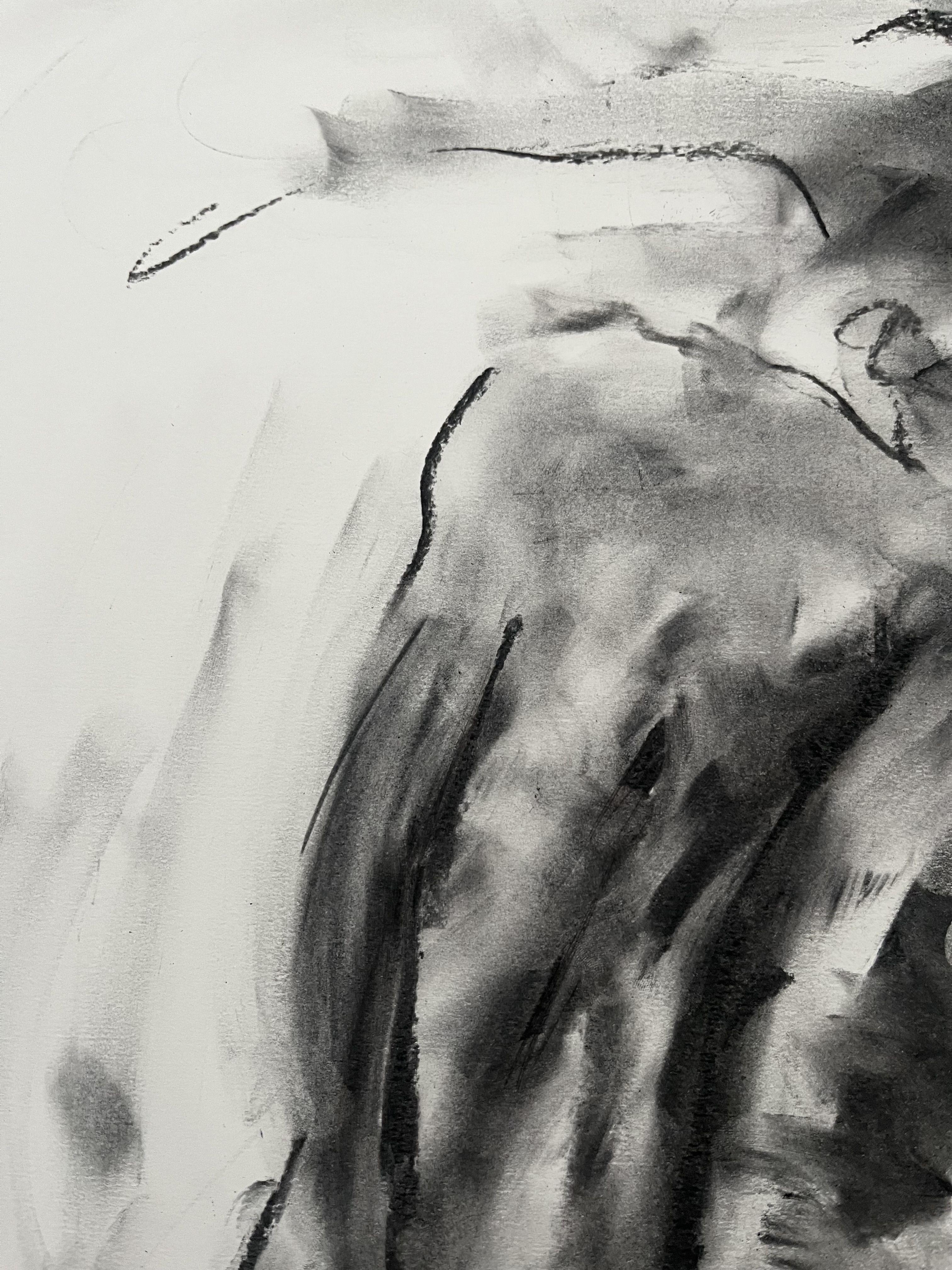 Disegno originale a carboncino su carta di James Shipton  I miei lavori sono fortemente influenzati dalle opere di Degas e Gustav Klimt.    Il mio desiderio è quello di catturare la forma umana, ritraendo le emozioni umane. Raggiungo questo