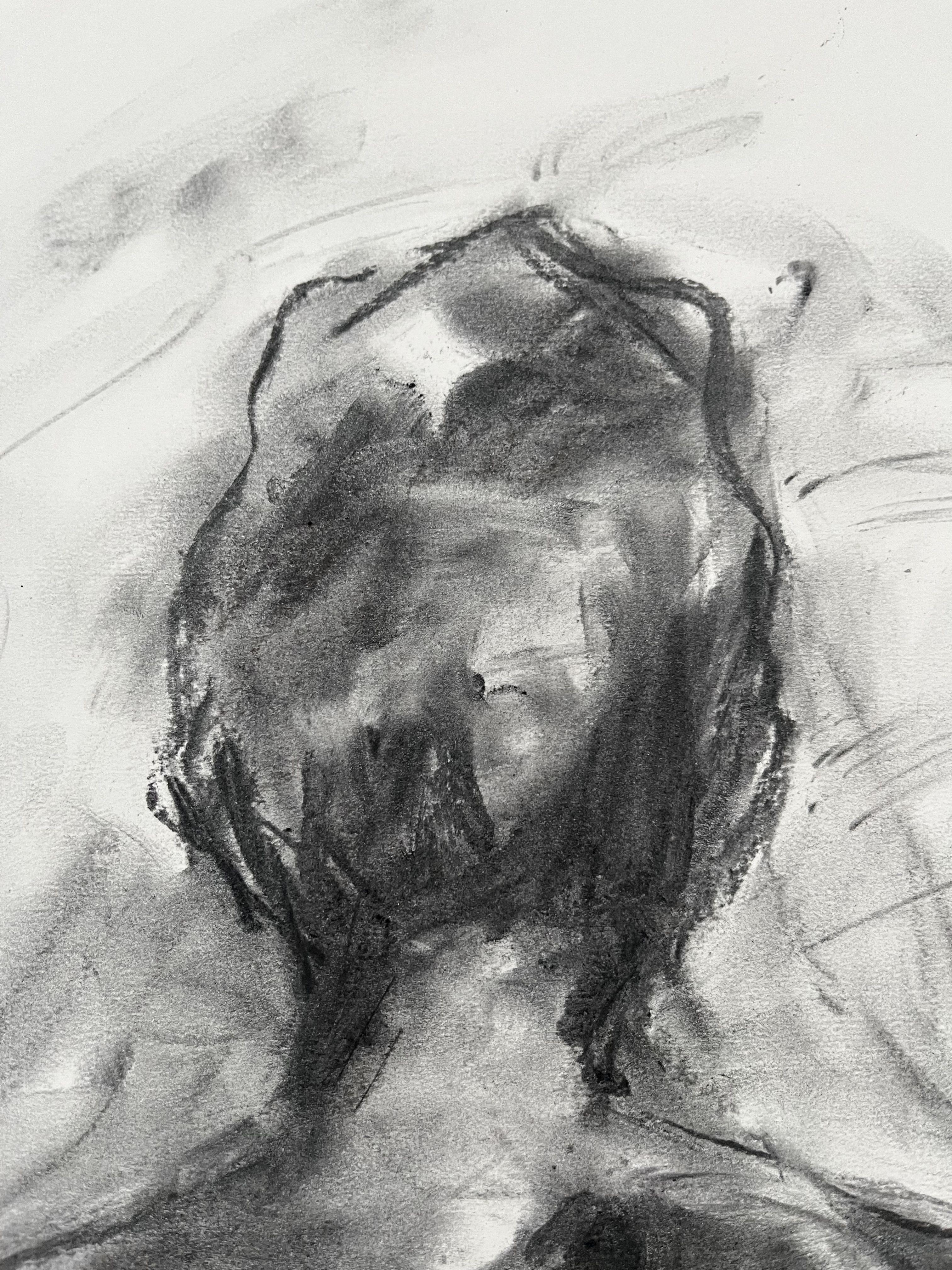 Remarkable, Drawing, Charcoal on Paper - Impressionist Art by James Shipton