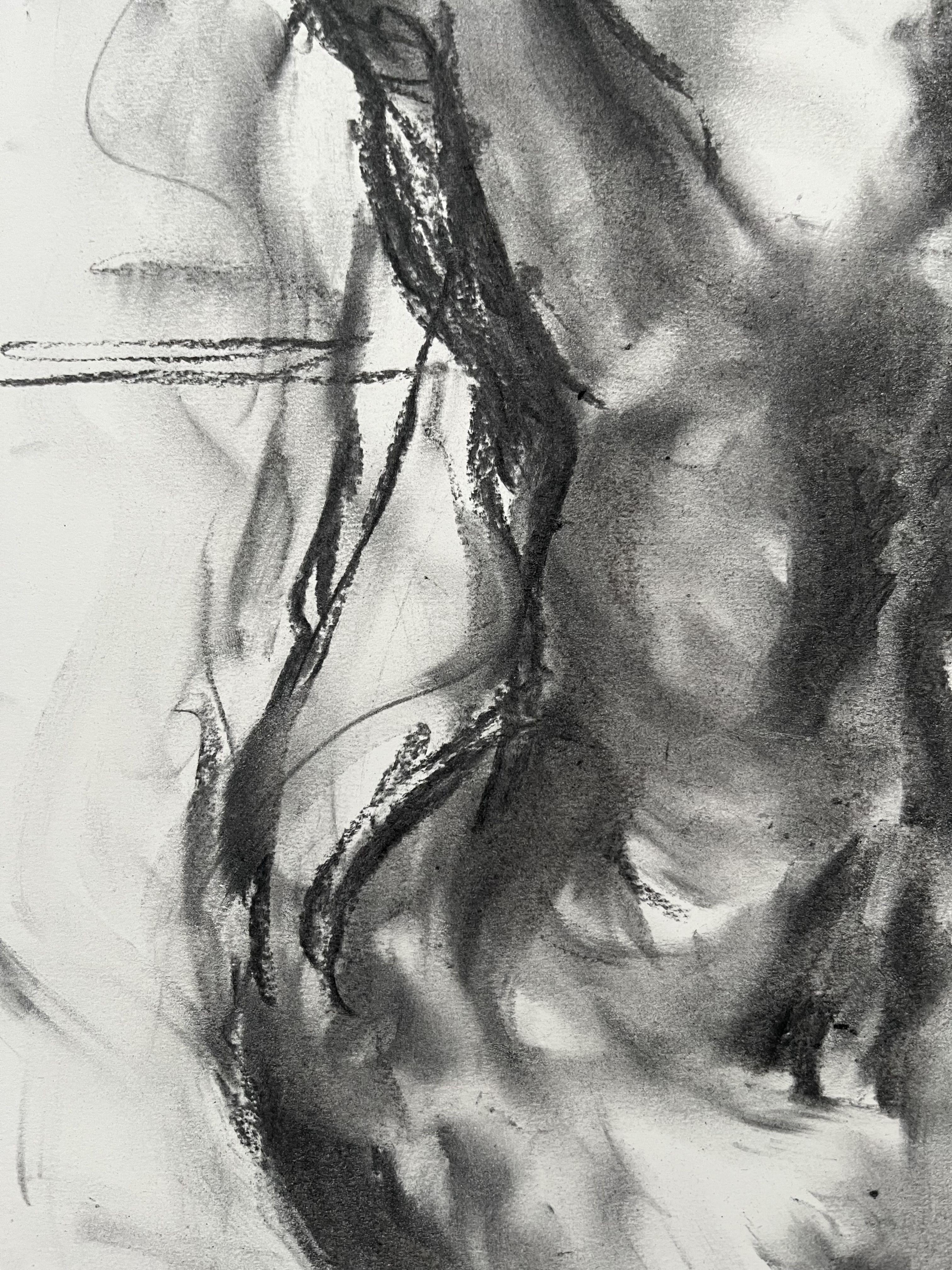 Remarkable, Drawing, Charcoal on Paper For Sale 1