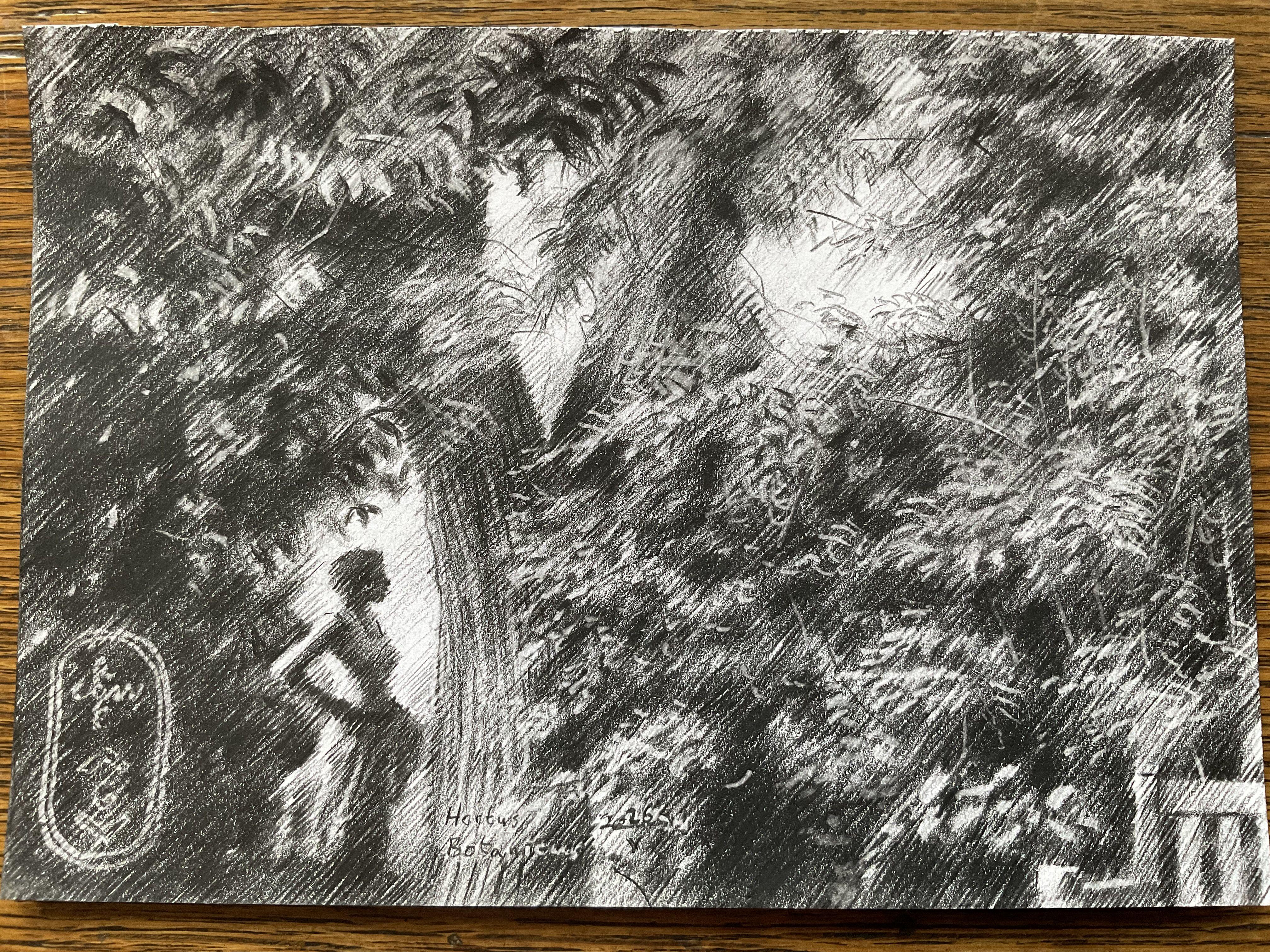 Pourquoi pas Leyde ?    Ce dessin au crayon graphite â€˜Hortus Botanicus â€
