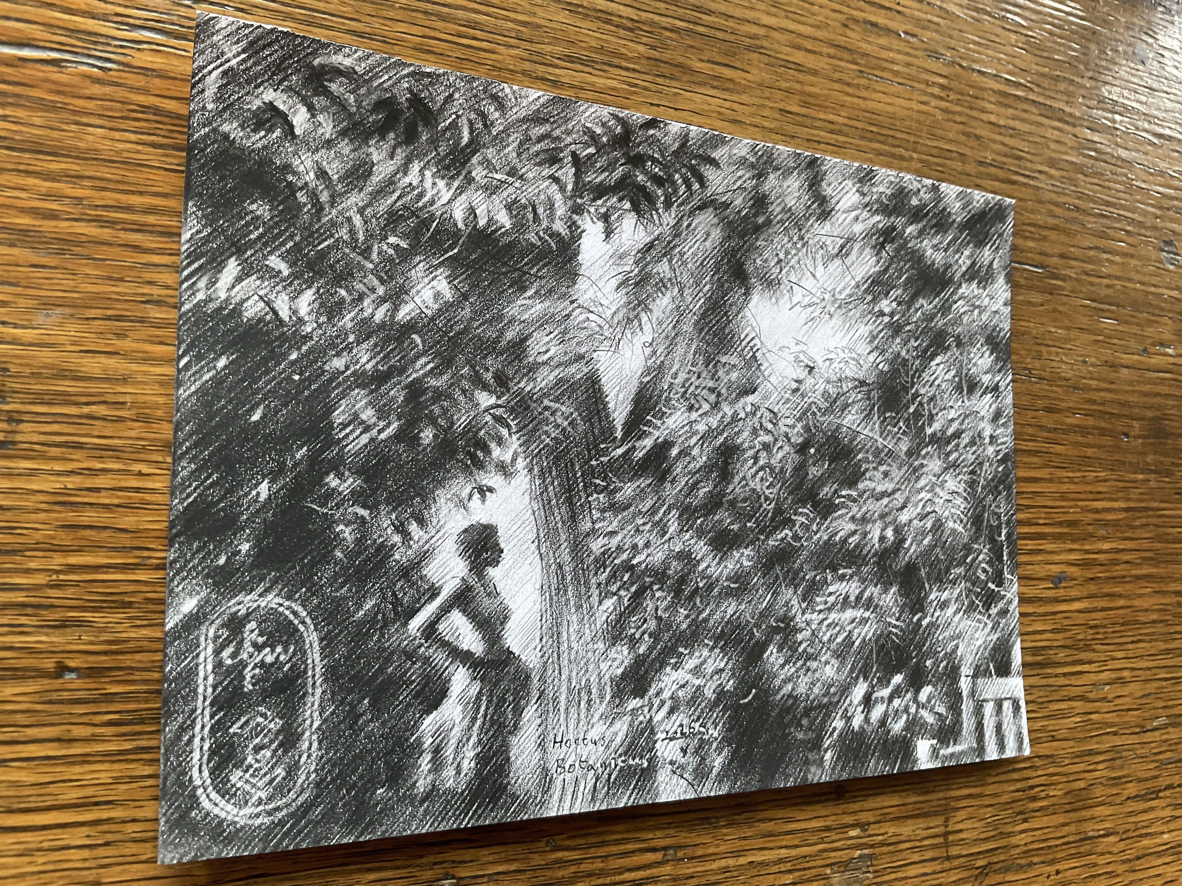 Hortus Botanicus - 26-05-24, Dessin, crayon à papier/crayon de couleur sur papier en vente 1