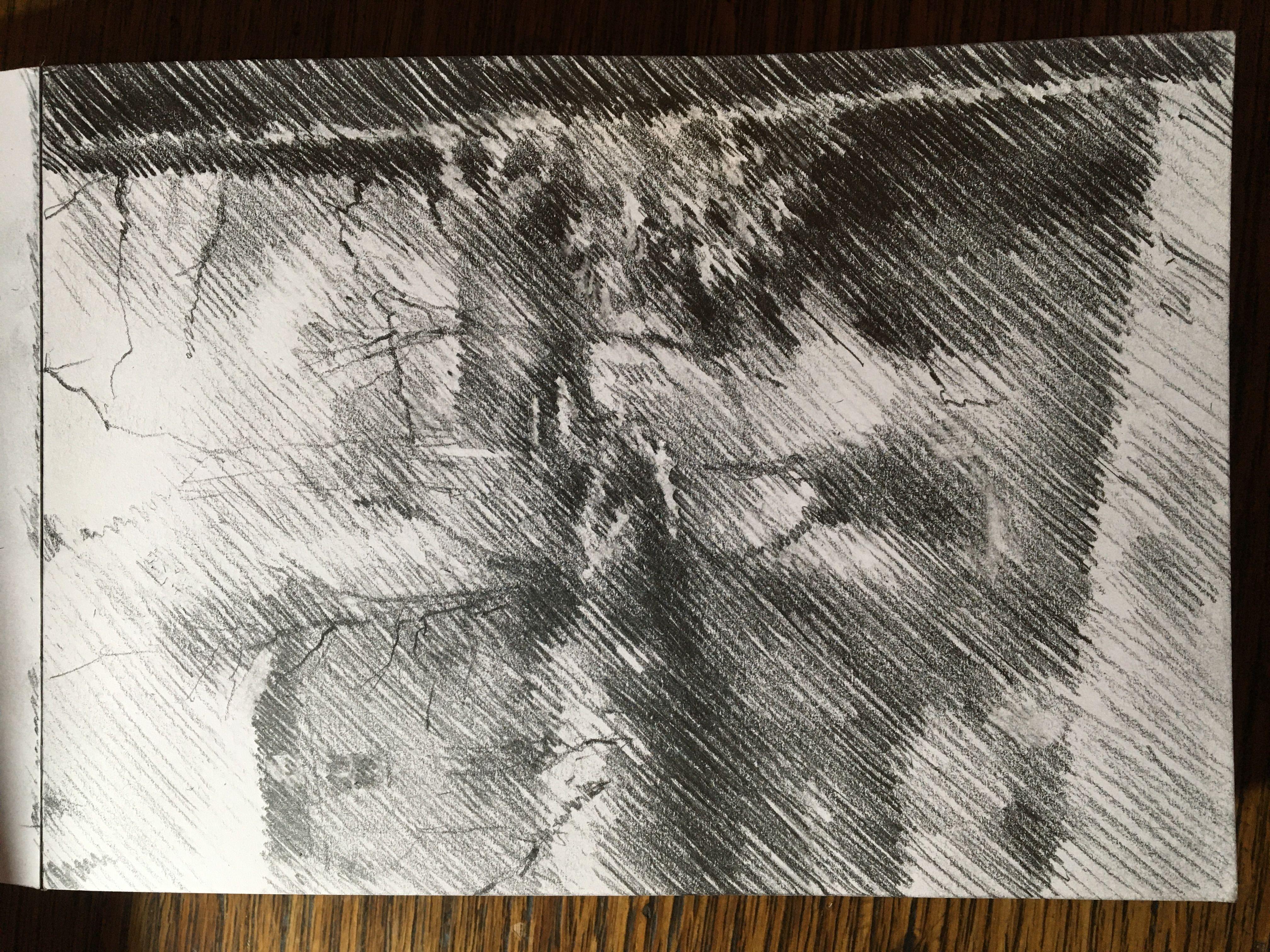 Un poco de impresionismo  Este dibujo a lÃ¡piz de grafito â€˜Den Haag â€