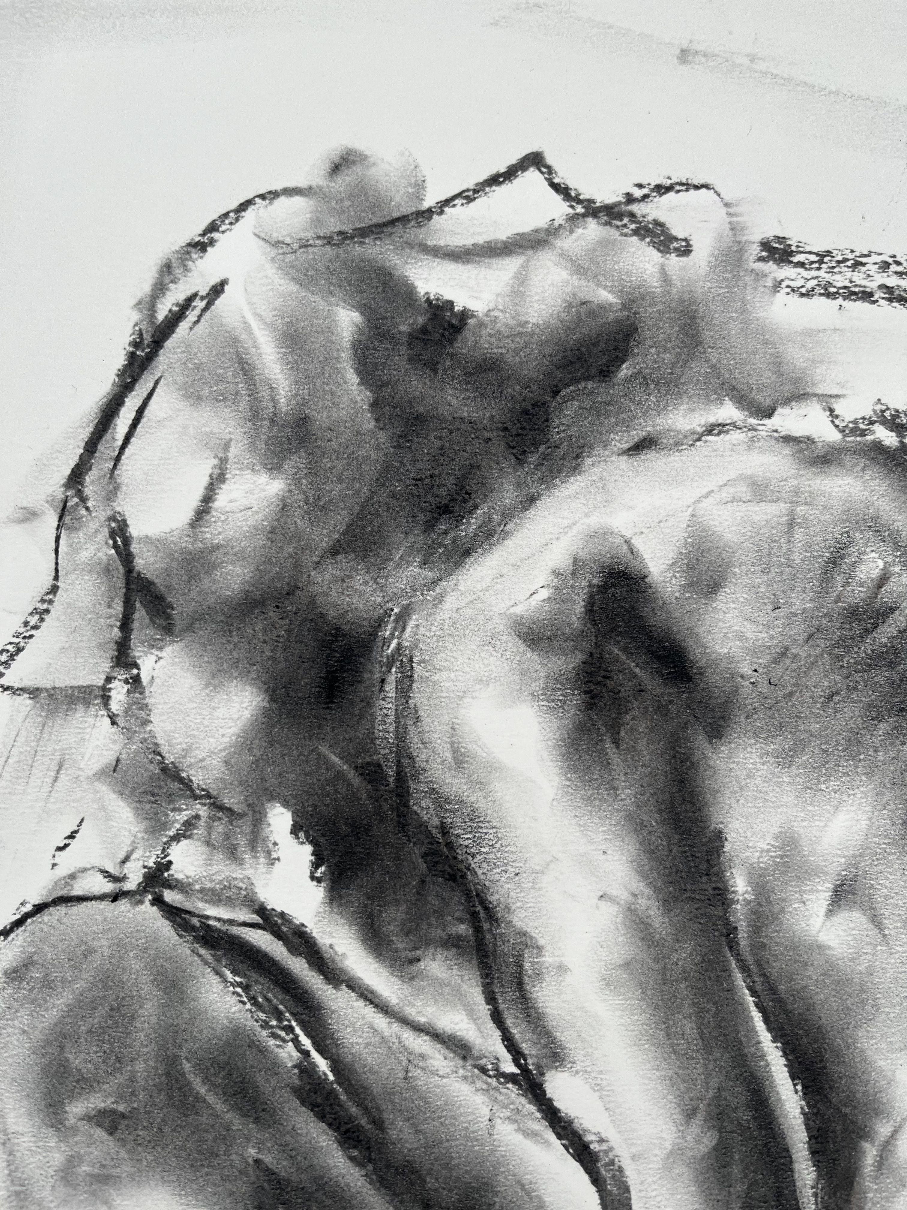 Providence, Drawing, Charcoal on Paper - Impressionist Art by James Shipton