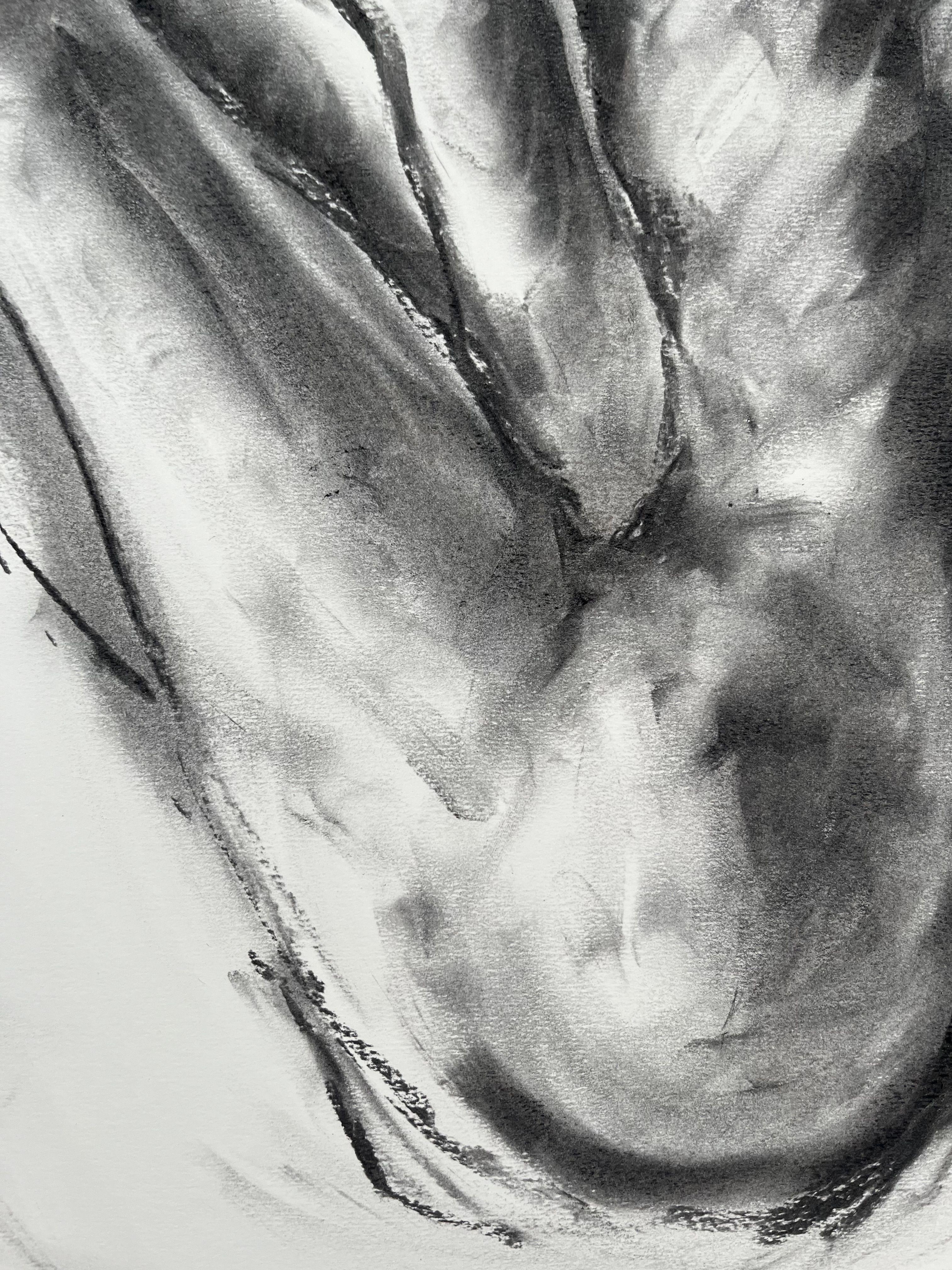 Providence, Drawing, Charcoal on Paper For Sale 2