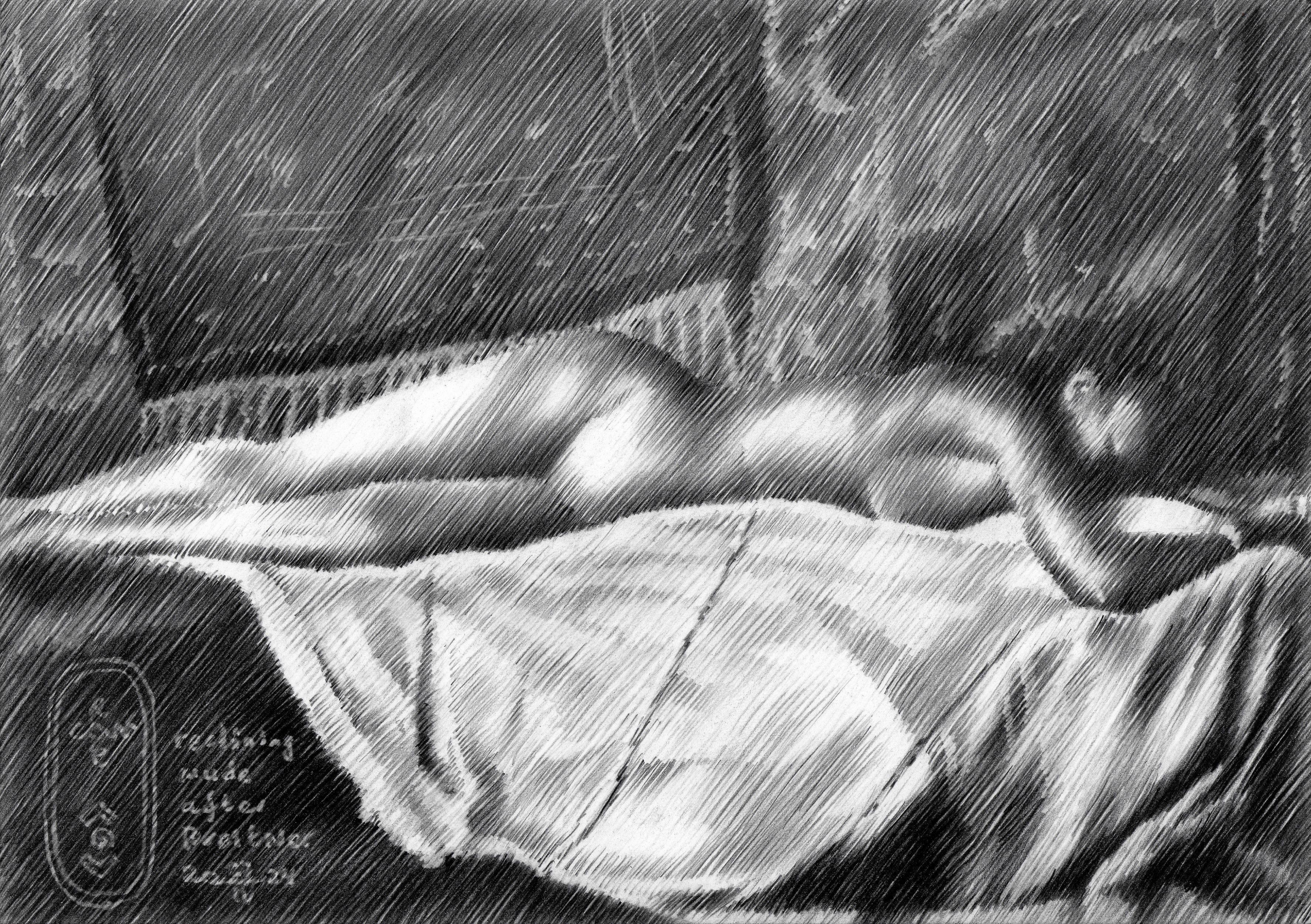 Reclining Nude after Breither â€“ 27-04-24, Drawing, Pencil/Colored Pencil on Pa - Art by Corne Akkers
