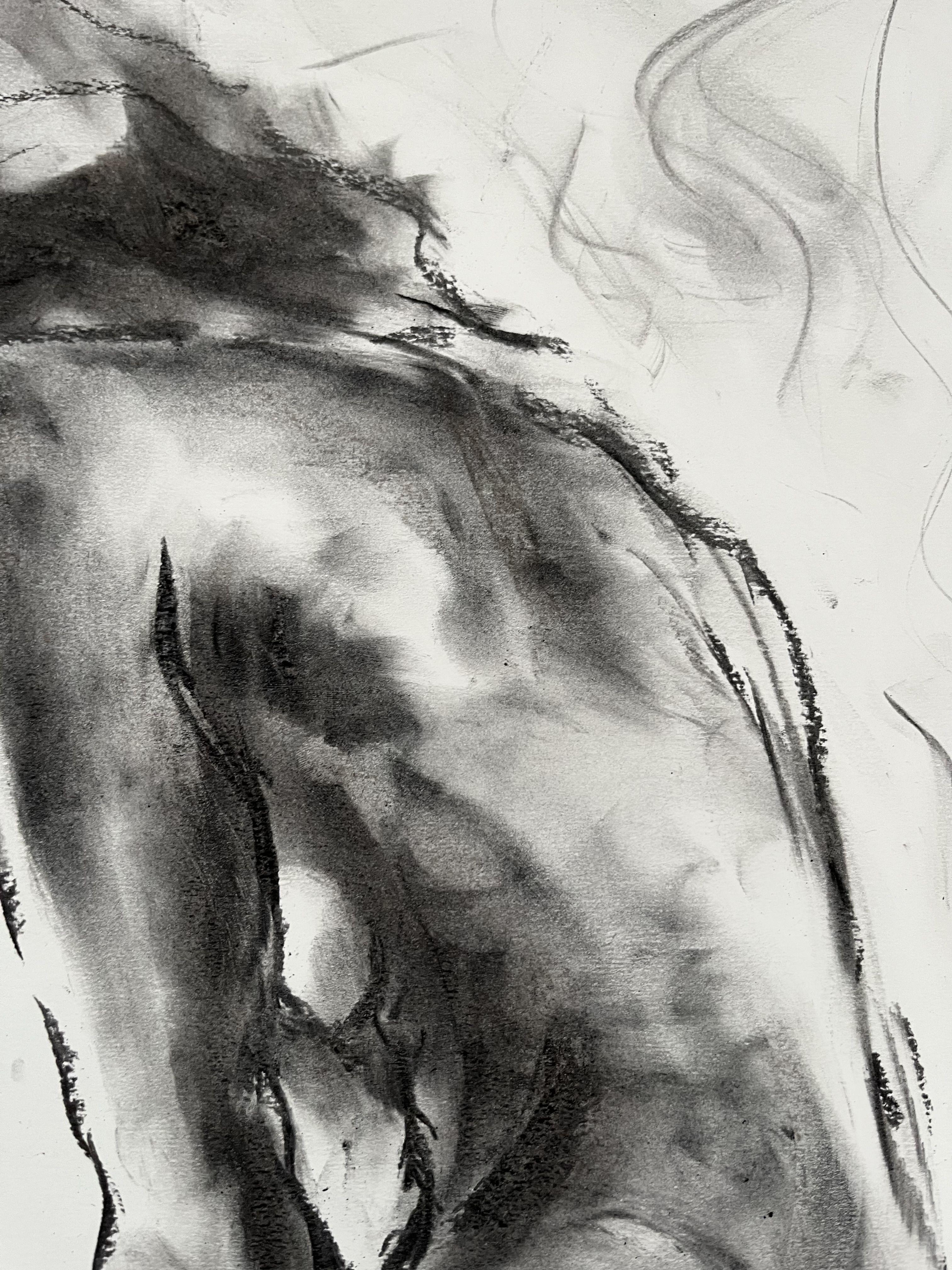 Dibujo original al carboncillo sobre papel de James Shipton  Mis obras están muy influidas por la obra de Degas y Gustav Klimt.    Mi deseo es captar la forma humana, retratando al mismo tiempo la emoción humana. Lo consigo mediante un proceso de