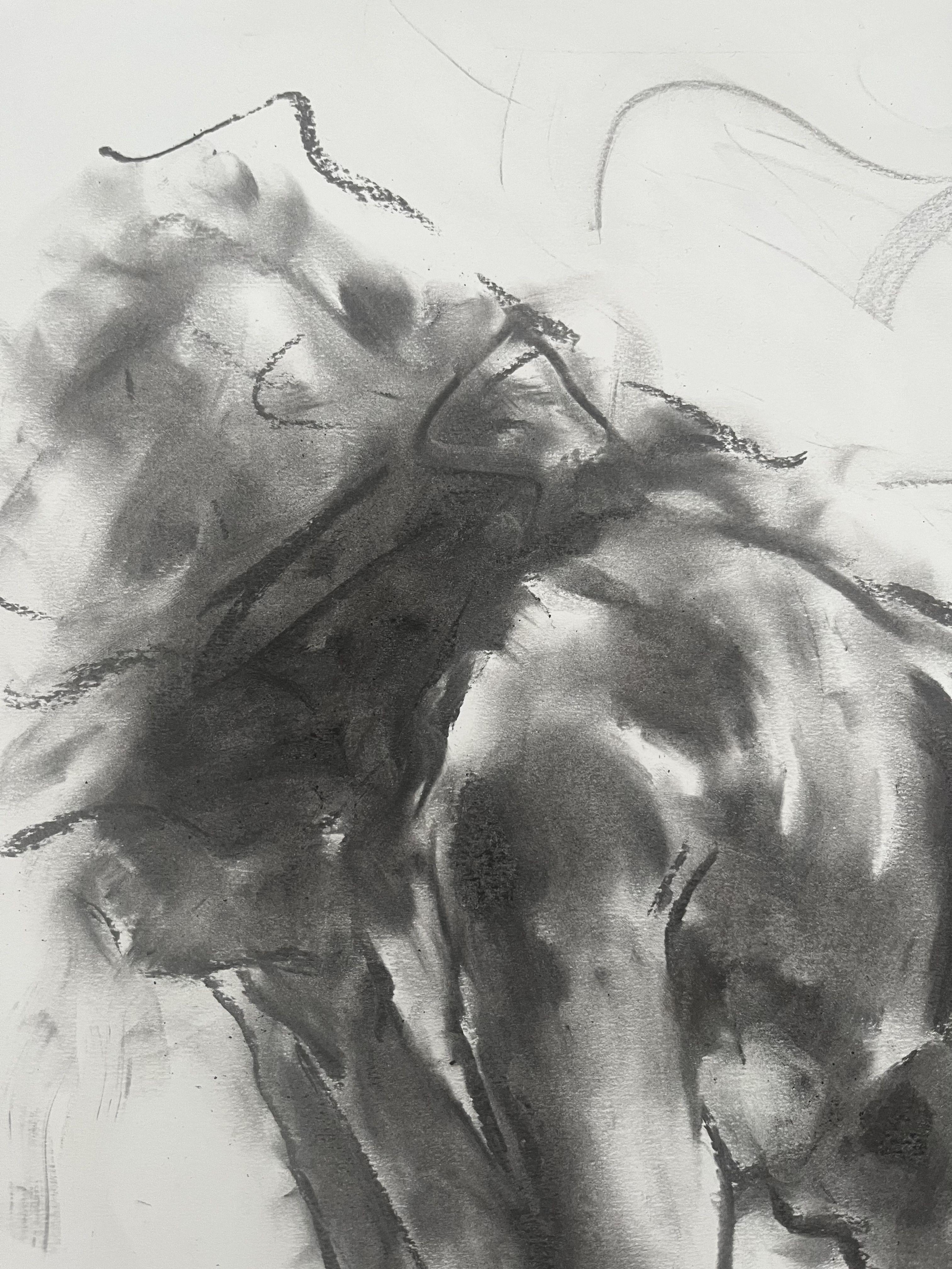 Enigma, disegno, carboncino su carta - Art Impressionismo di James Shipton