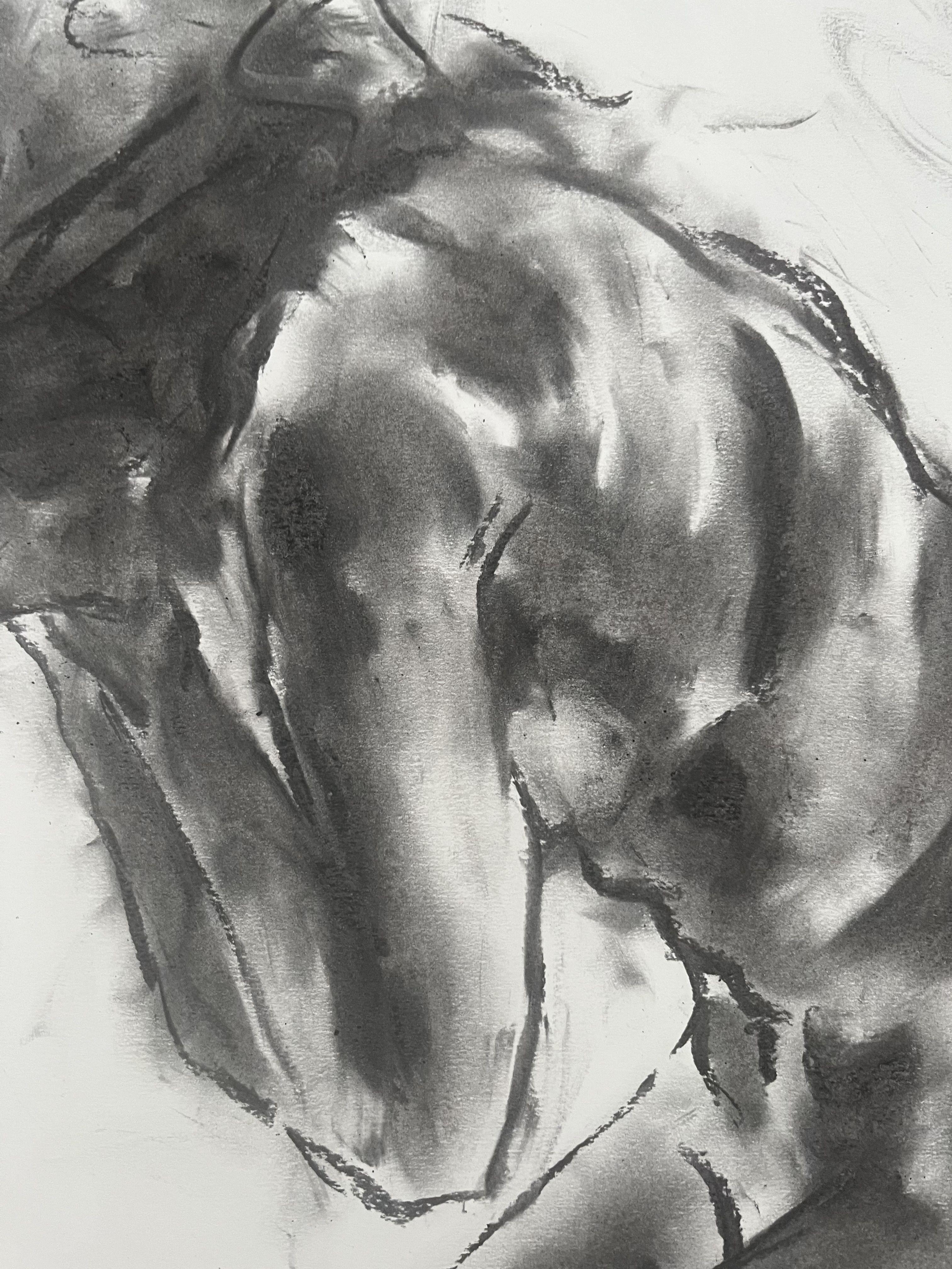 Disegno originale a carboncino su carta di James Shipton  I miei lavori sono fortemente influenzati dalle opere di Degas e Gustav Klimt.    Il mio desiderio è quello di catturare la forma umana, ritraendo le emozioni umane. Raggiungo questo