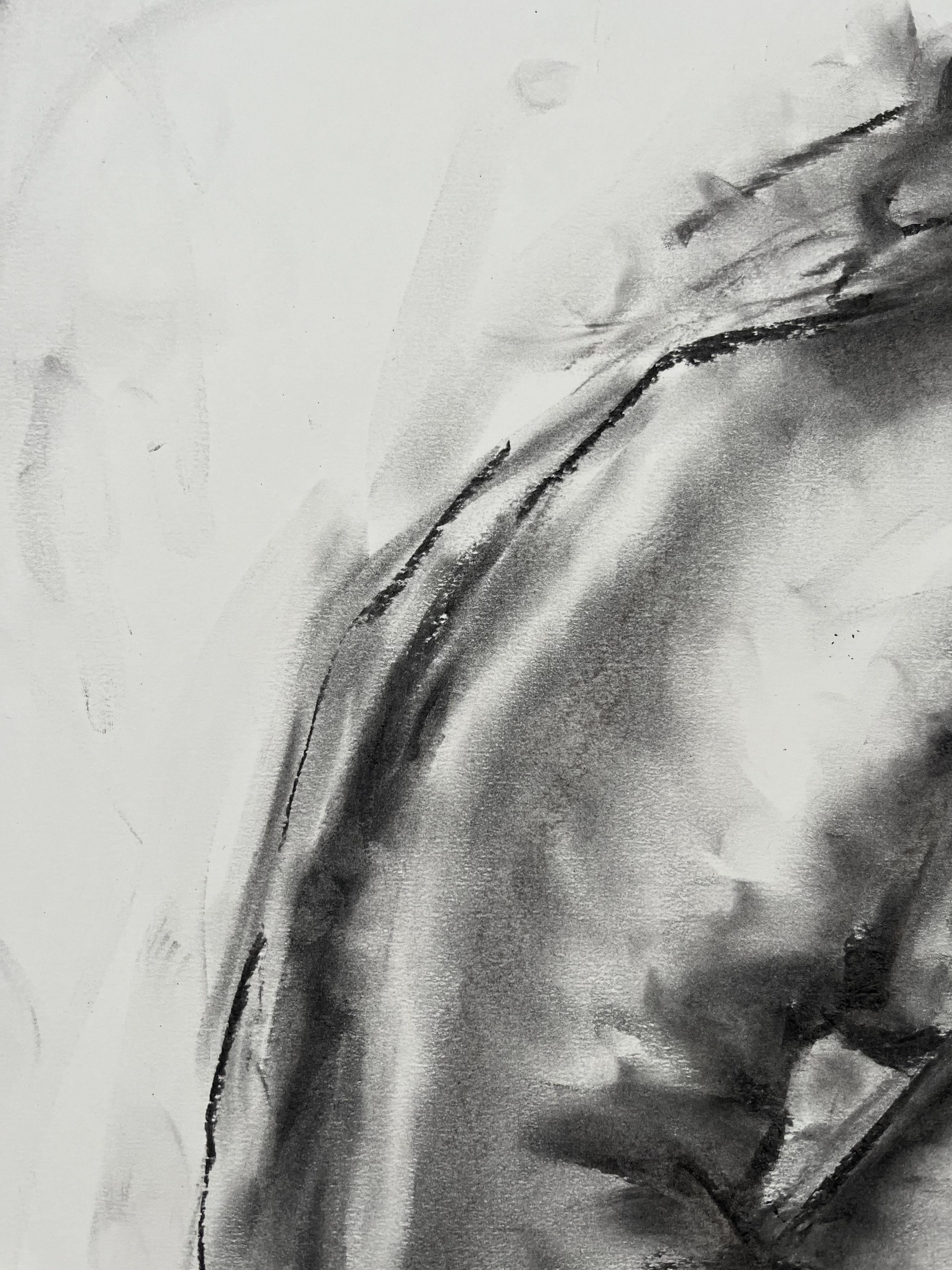 Original charcoal drawing on paper by James Shipton  My works are heavily influenced by the art work of Degas and Gustav Klimt.    My desire is to capture the human form, whilst portraying human emotion. I achieve this through a process of capturing