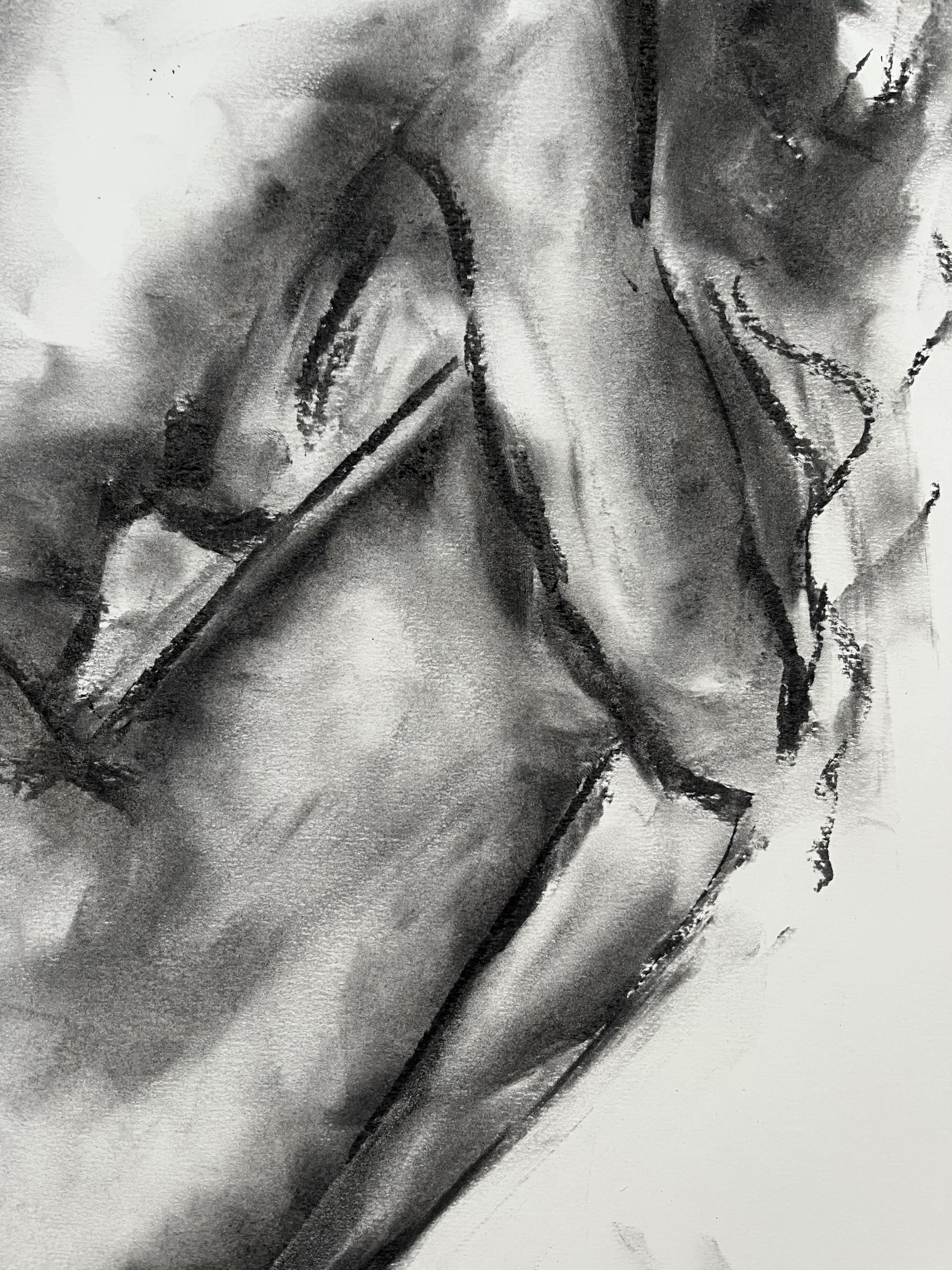 Arrival, Drawing, Charcoal on Paper For Sale 1