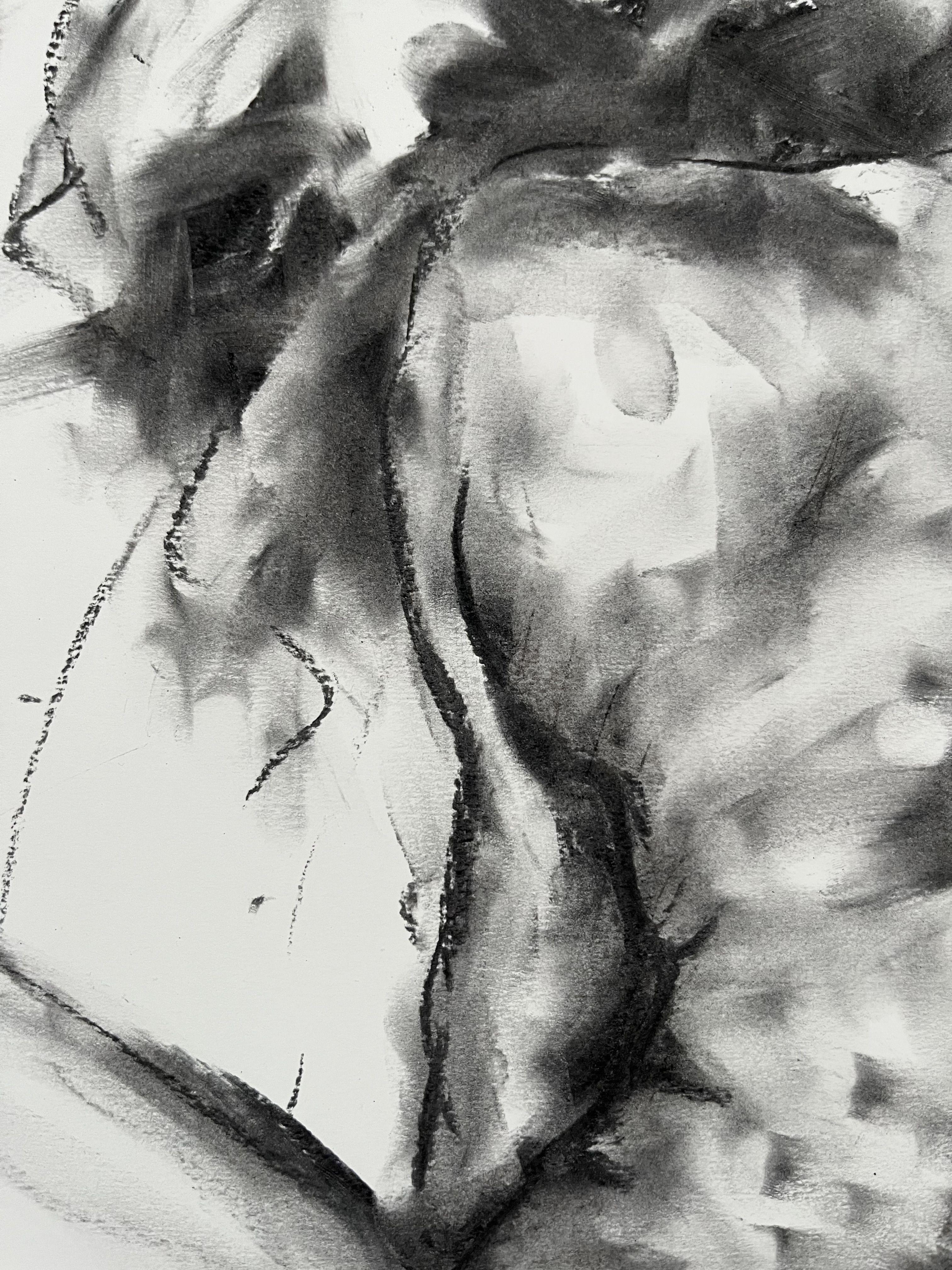 Dessin original au fusain sur papier de James Shipton  Mes œuvres sont fortement influencées par celles de Dega et de Gustav Klimt.    Mon désir est de capturer la forme humaine, tout en dépeignant l'émotion humaine. J'y parviens grâce à un