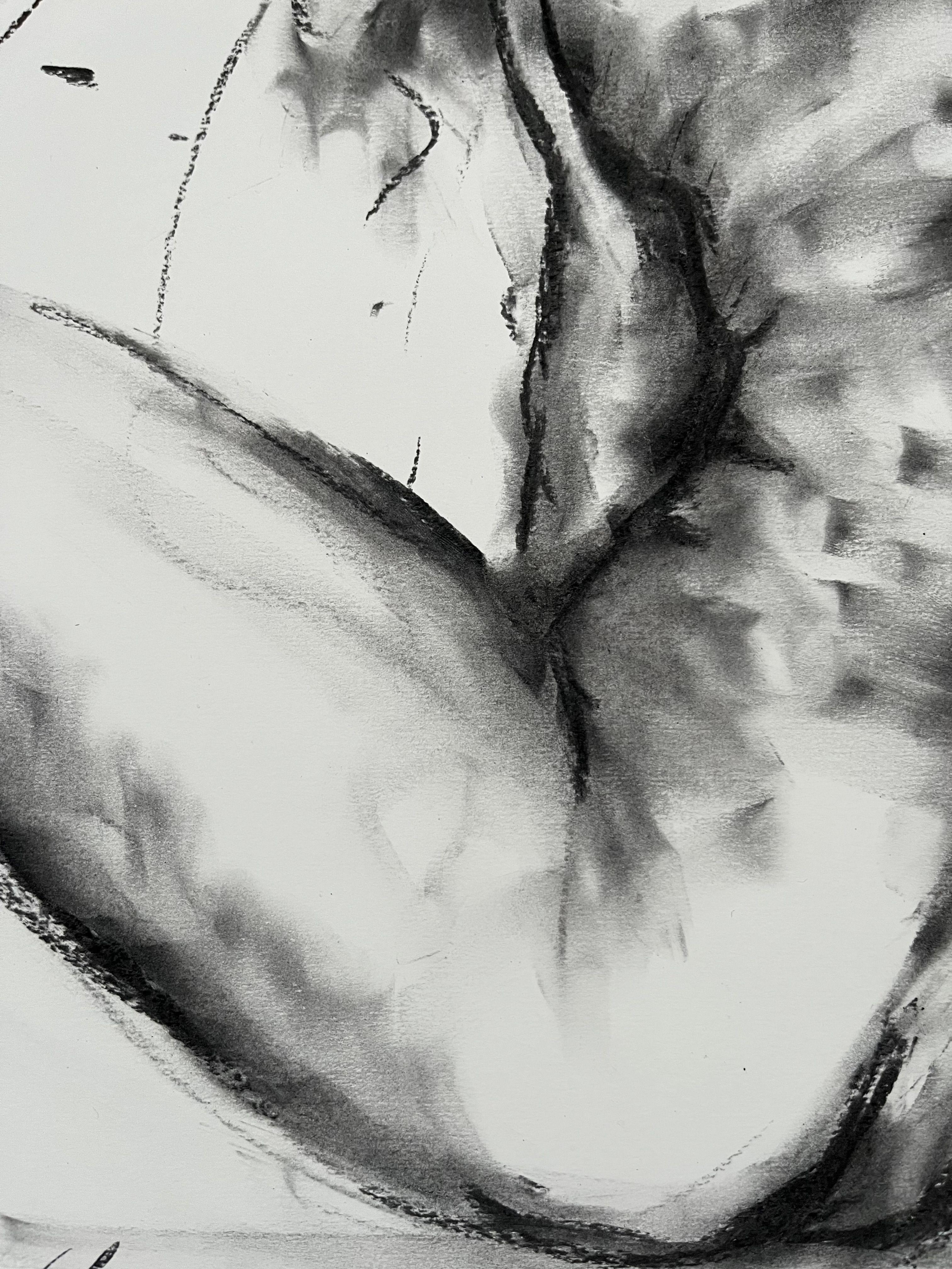 Spring Time, Drawing, fusain sur papier en vente 2