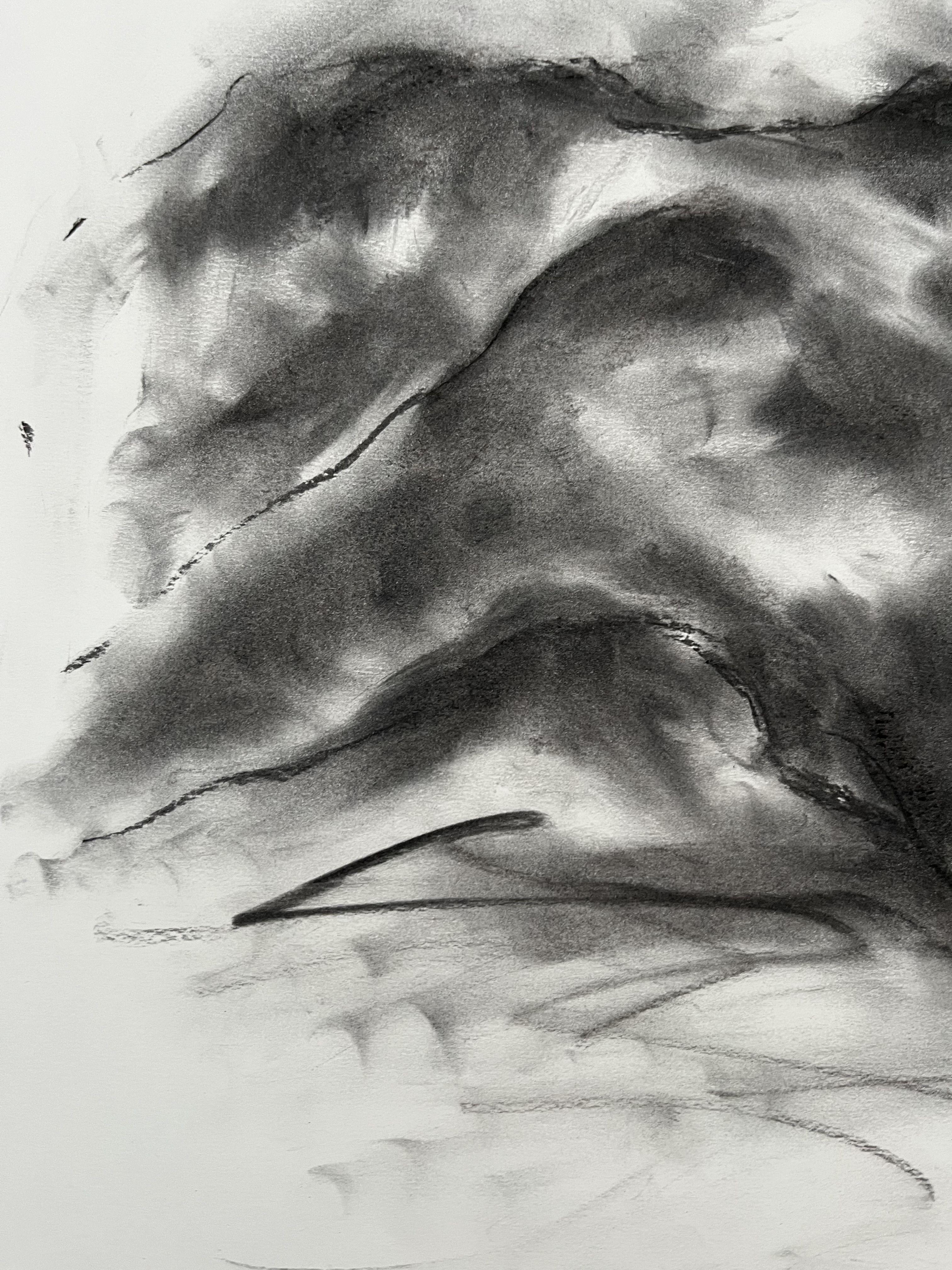 River, Drawing, Charcoal on Paper - Impressionist Art by James Shipton
