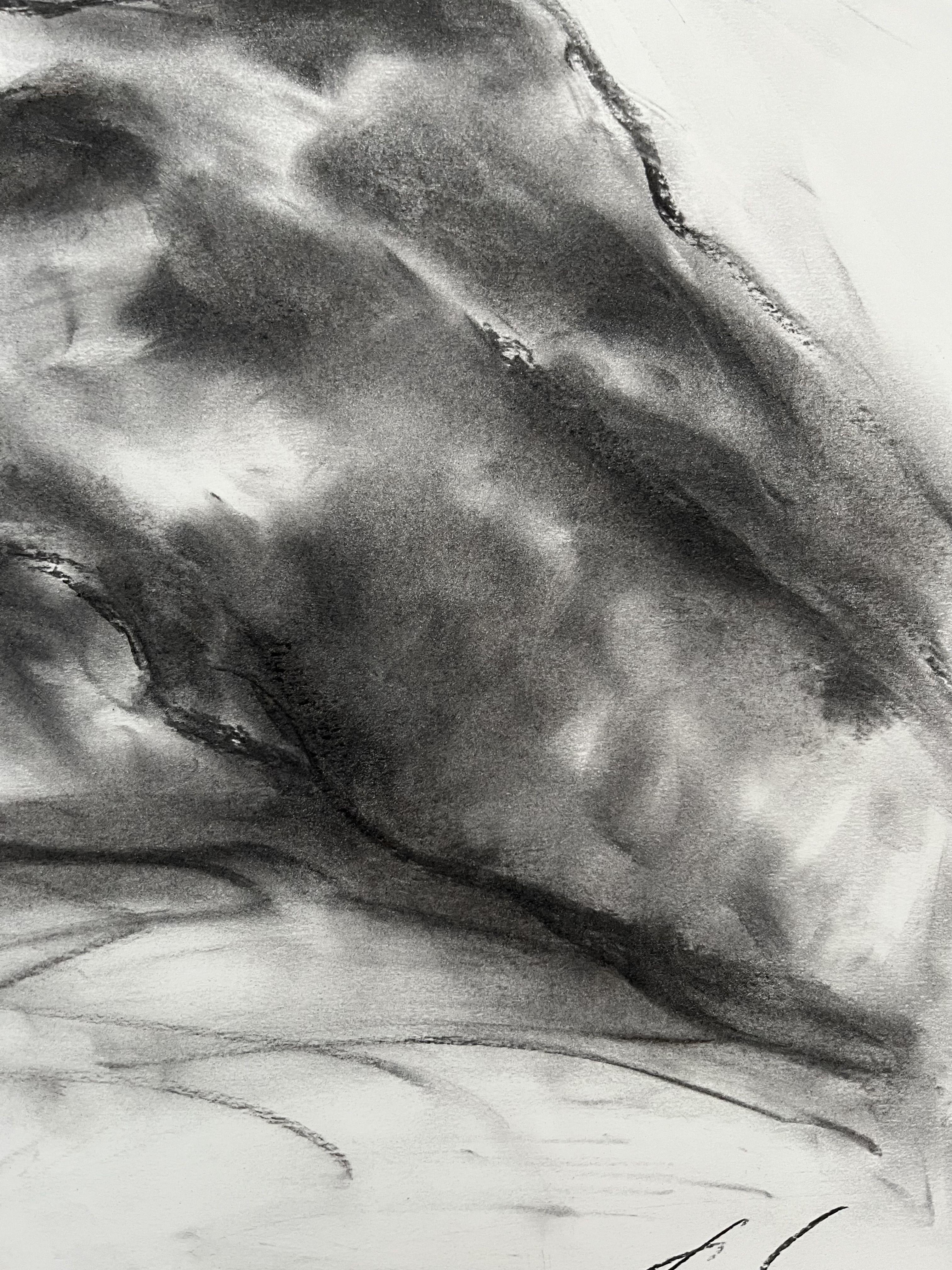 Original charcoal drawing on paper by James Shipton  My works are heavily influenced by the art work of Degas and Gustav Klimt.    My desire is to capture the human form, whilst portraying human emotion. I achieve this through a process of capturing