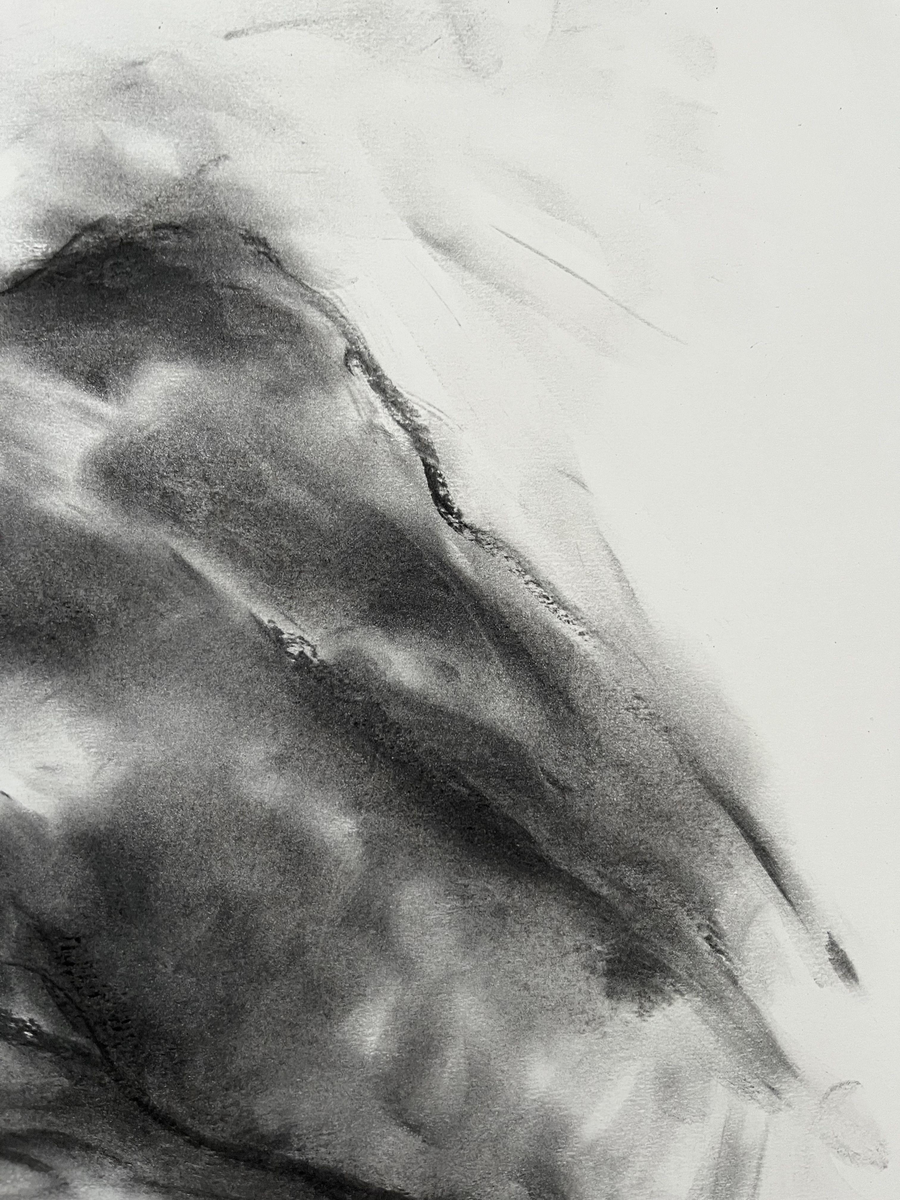 River, Drawing, Charcoal on Paper For Sale 1
