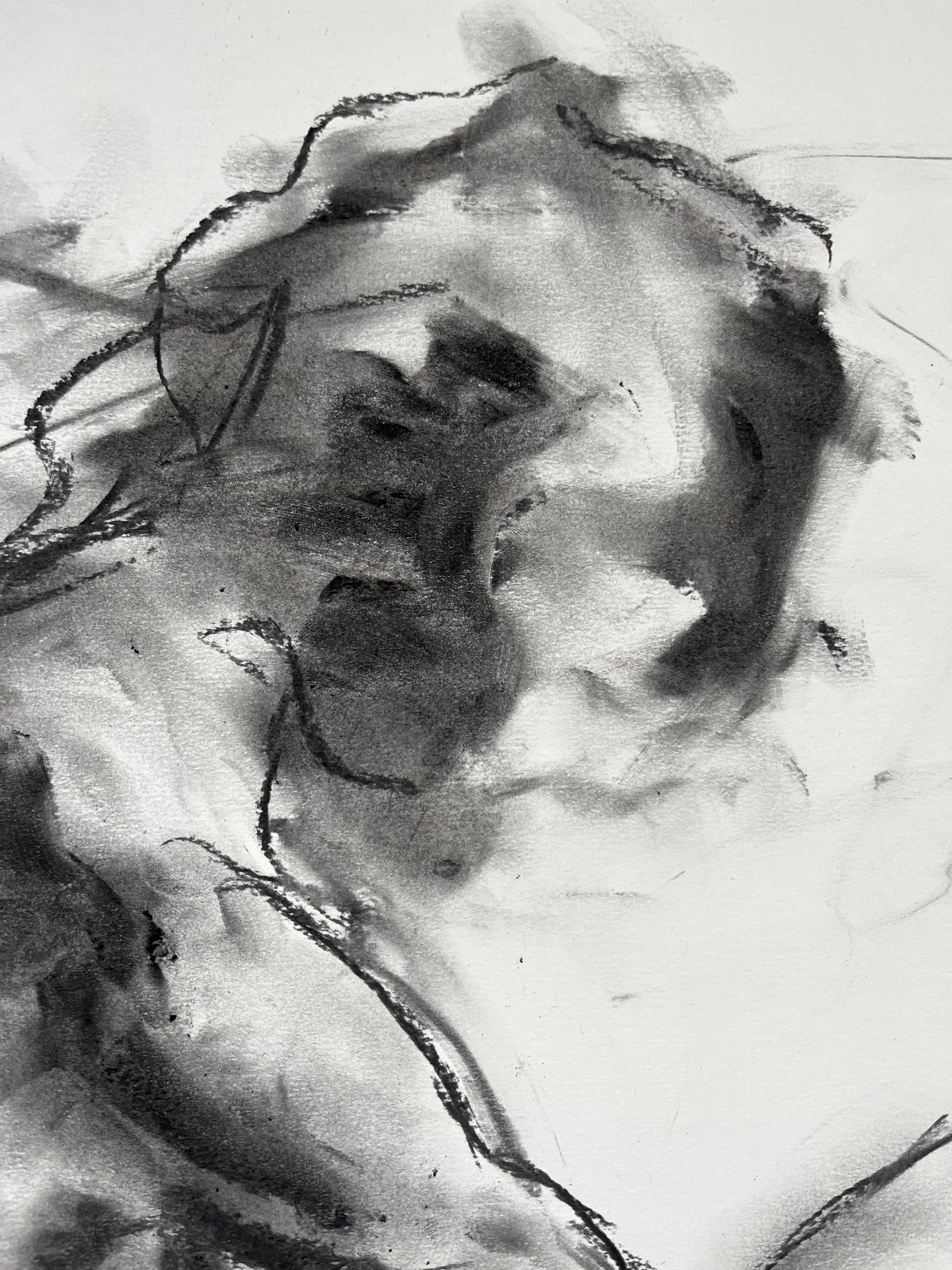 Wahrheit, Zeichnung, Kohle auf Papier (Impressionismus), Art, von James Shipton