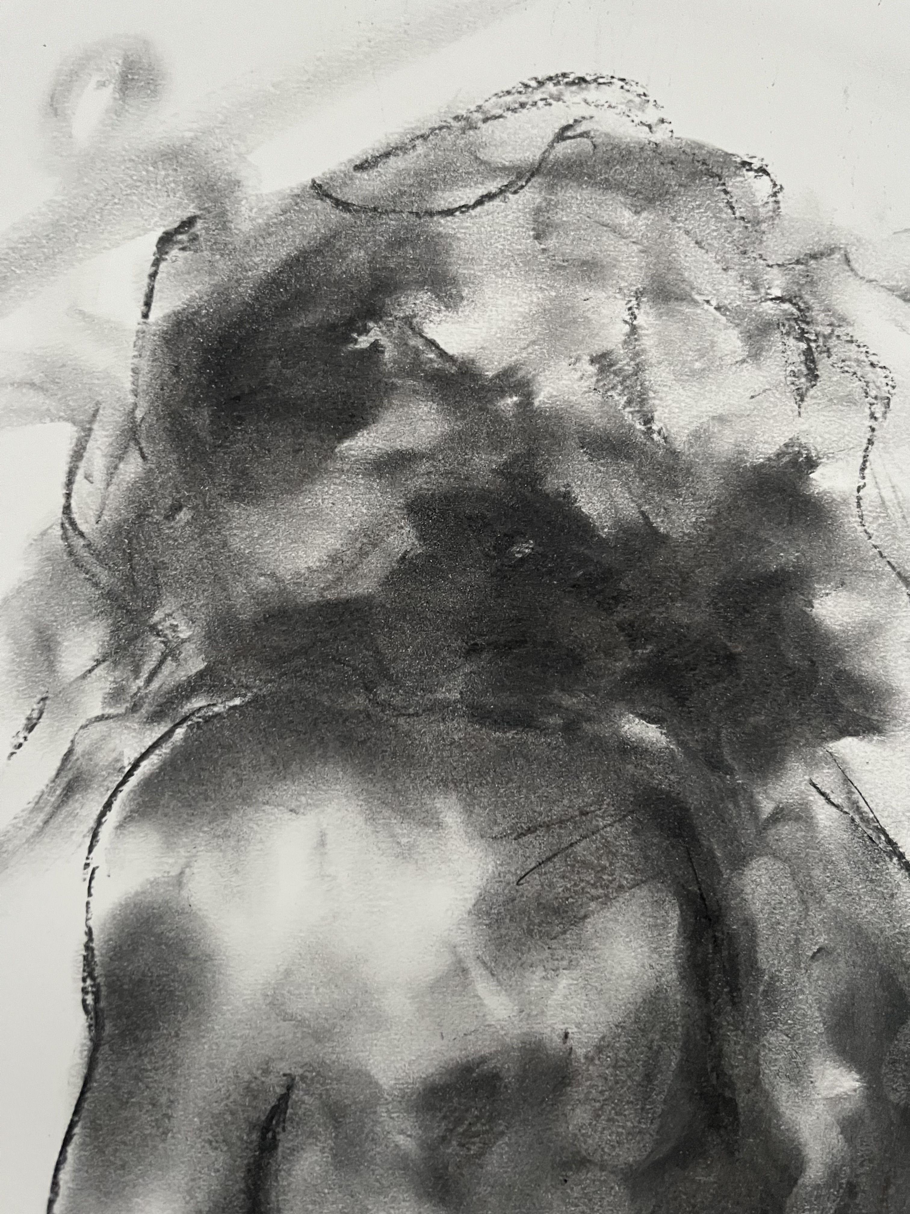 Sonido del silencio, Dibujo, Carboncillo sobre papel - Art Impresionista de James Shipton