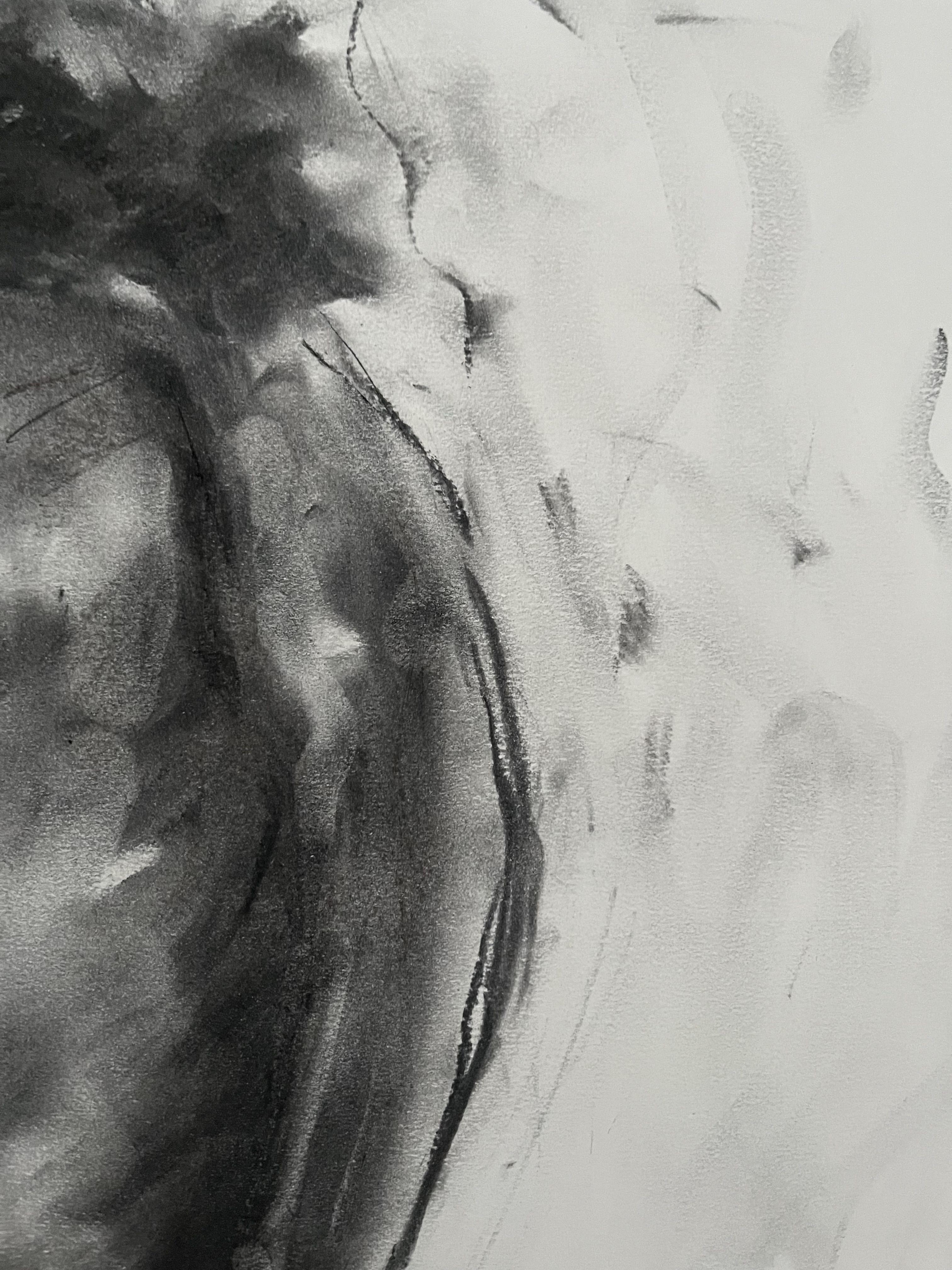 Dibujo original al carboncillo sobre papel de James Shipton  Mis obras están muy influidas por la obra de Degas y Gustav Klimt.    Mi deseo es captar la forma humana, retratando al mismo tiempo la emoción humana. Lo consigo mediante un proceso de