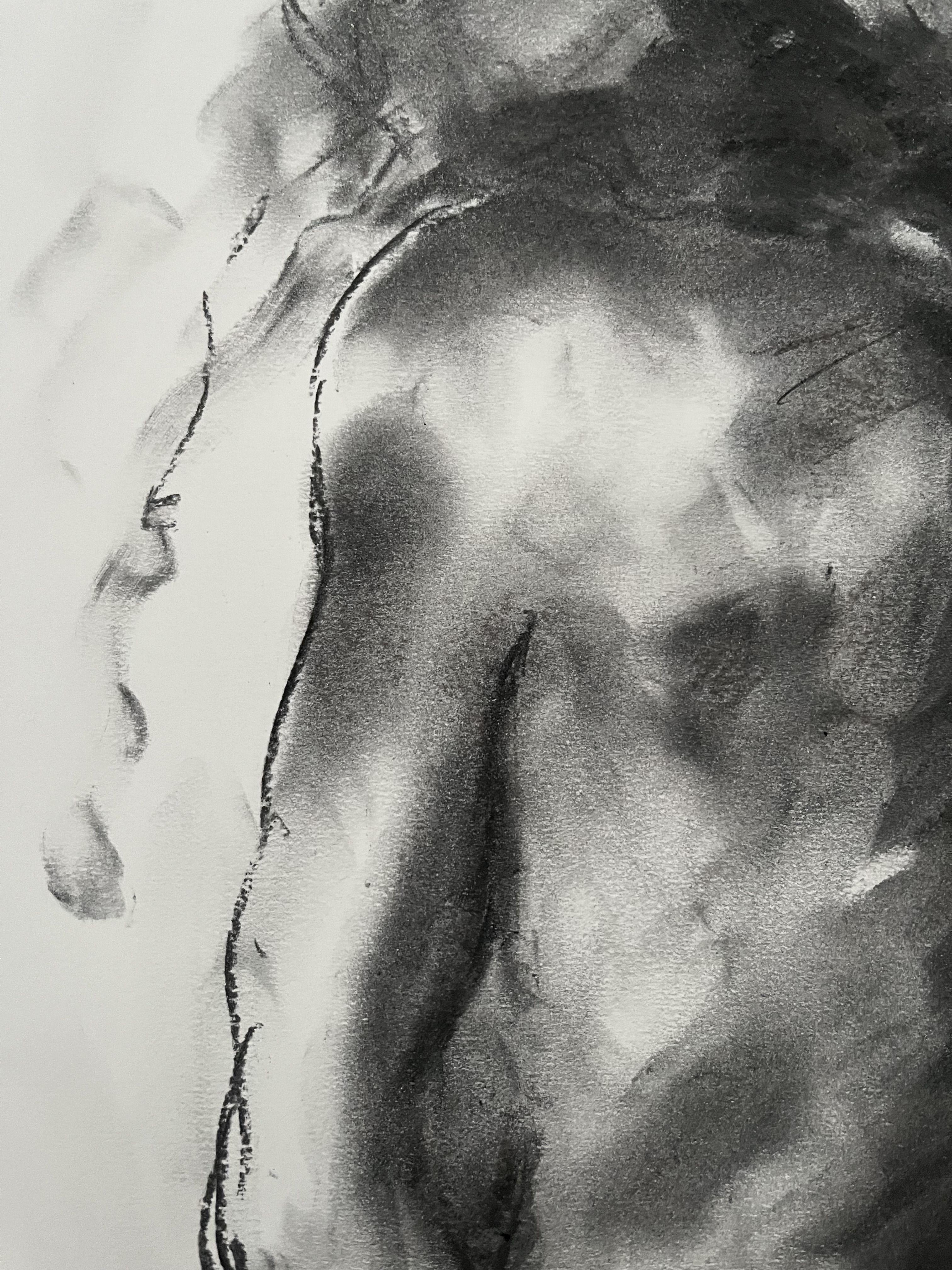 Sonido del silencio, Dibujo, Carboncillo sobre papel en venta 1